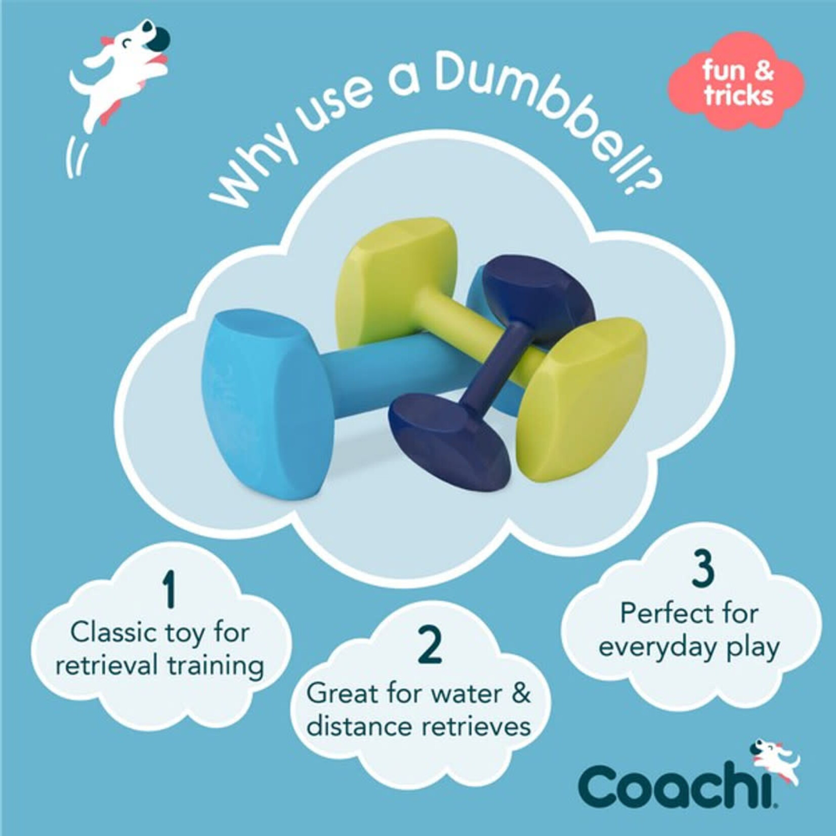 Company of Animals Coachi Dog Training Dumbbell in Light Blue, Large