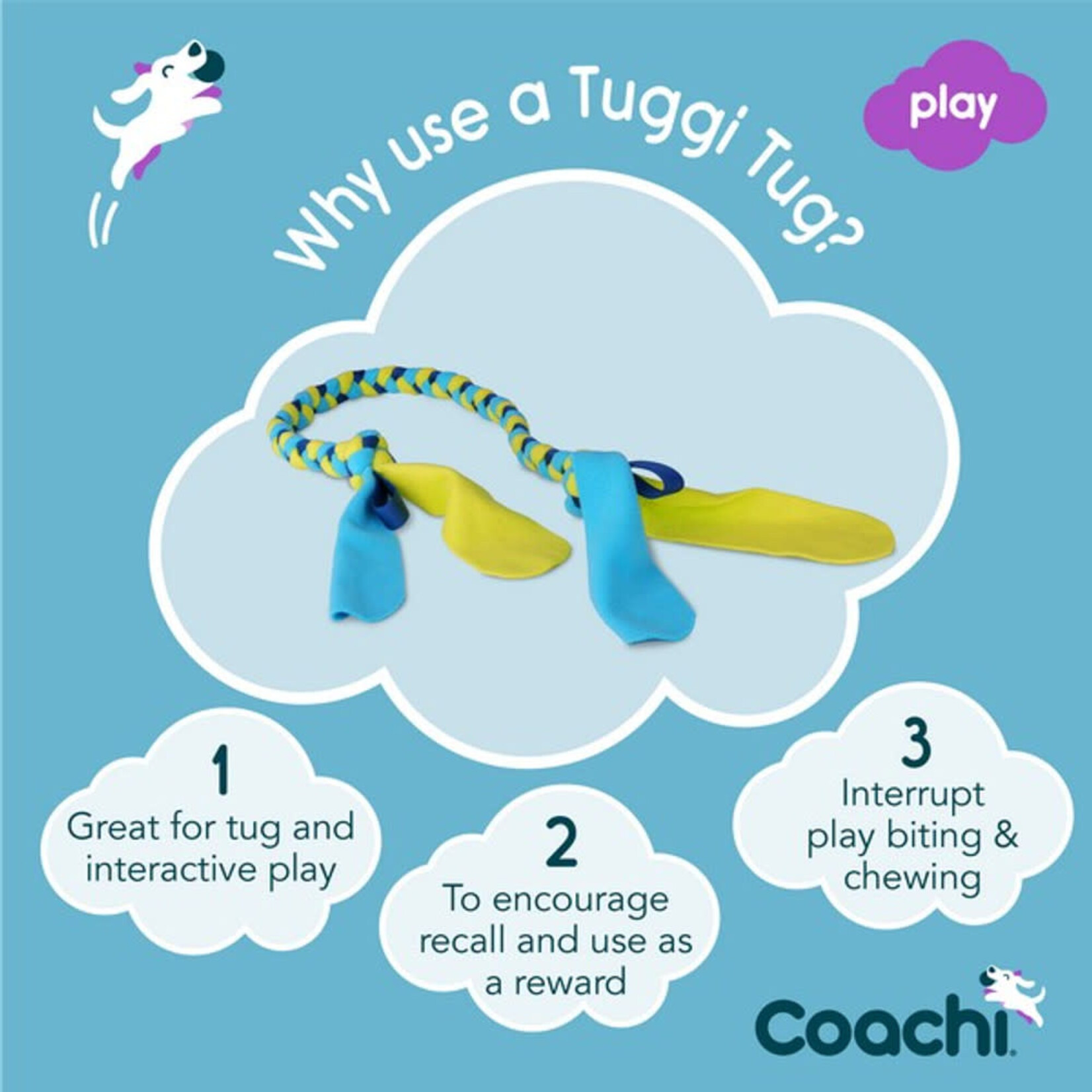 Company of Animals Coachi Tuggi Tug Dog Toy in Navy, Lime & Light Blue