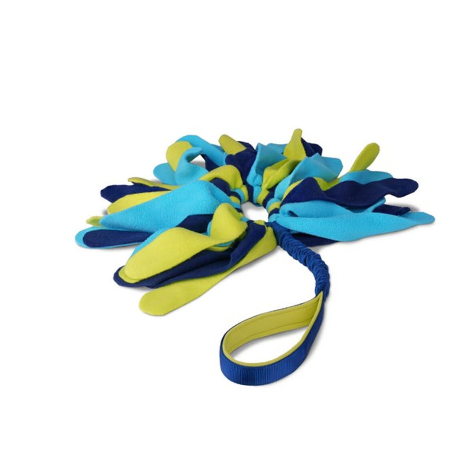 Company of Animals Coachi Tuggi Spider Dog Toy in Navy, Lime & Light Blue