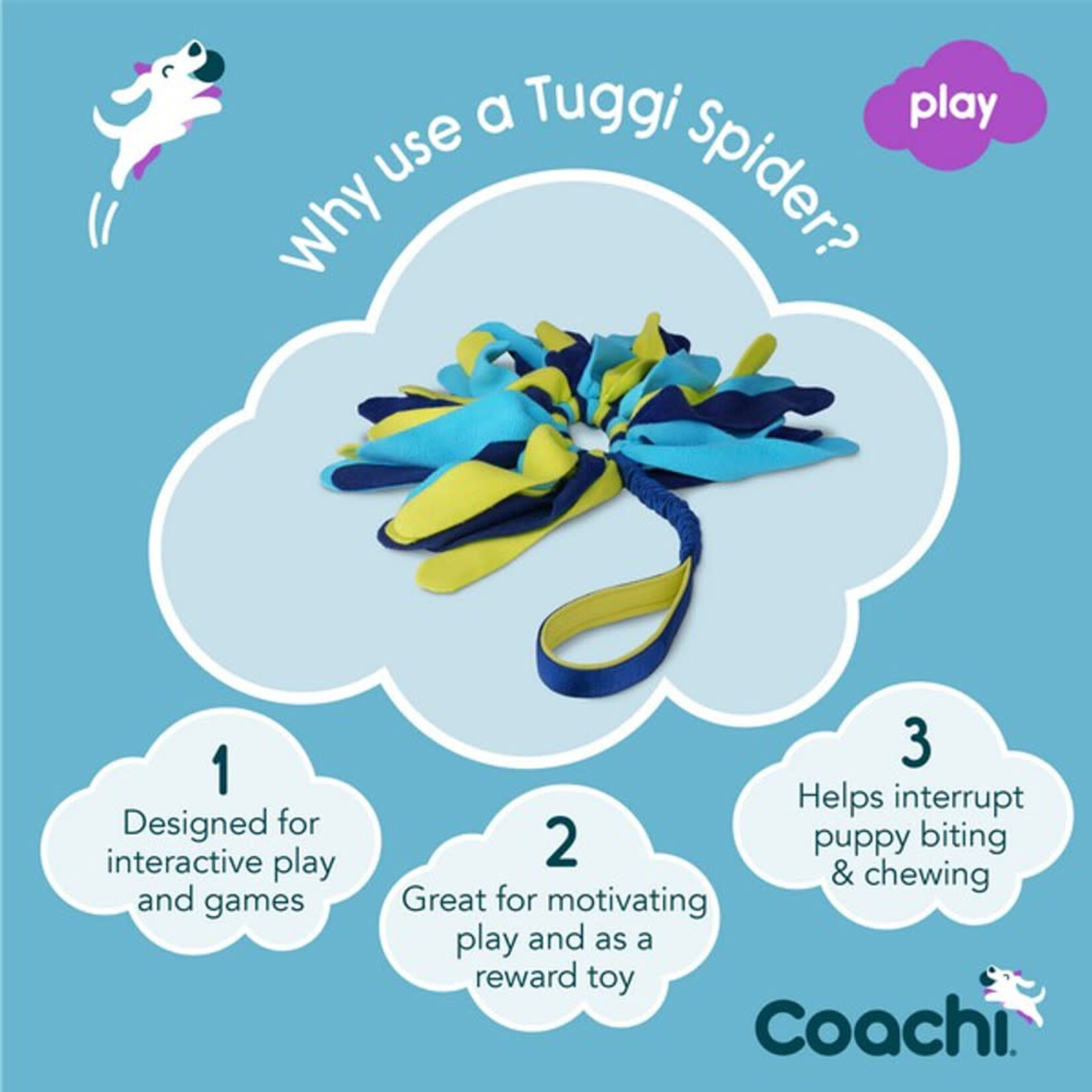 Company of Animals Coachi Tuggi Spider Dog Toy in Navy, Lime & Light Blue