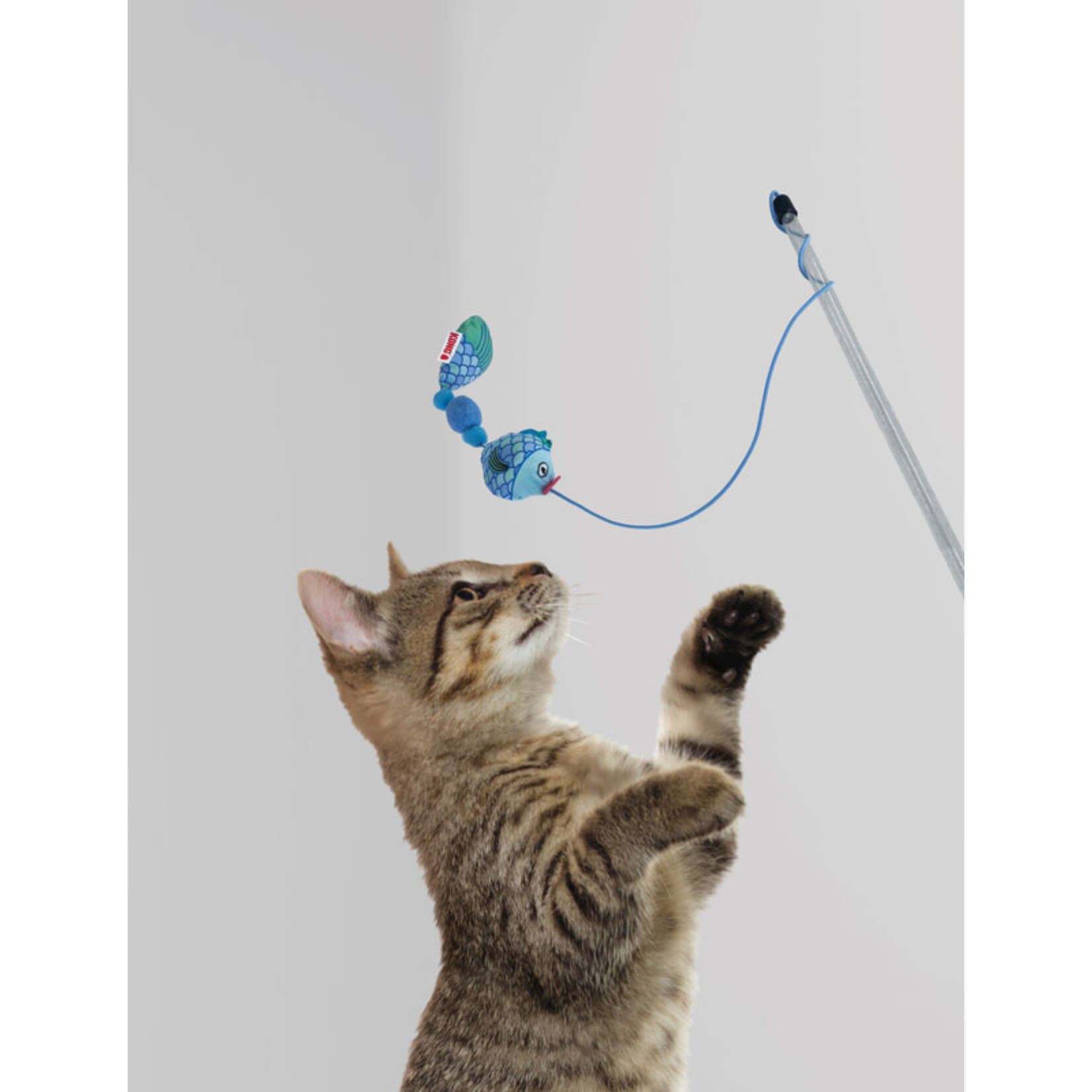 KONG Cat Teaser Scrattles Fish, Assorted