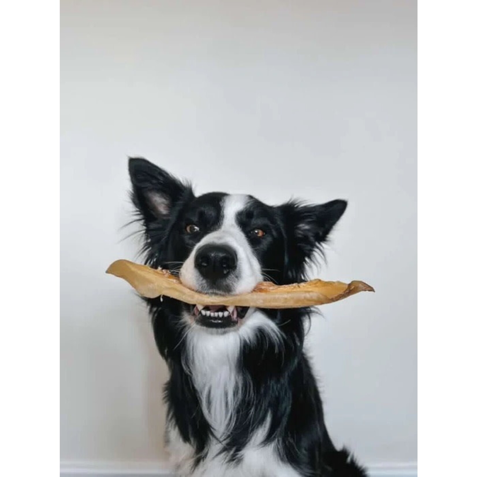 Anco Moon Bone Beef Cartilage Dog Chew