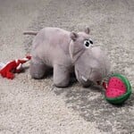 Zöon Hippo Tugga Melon Plush Dog Toy