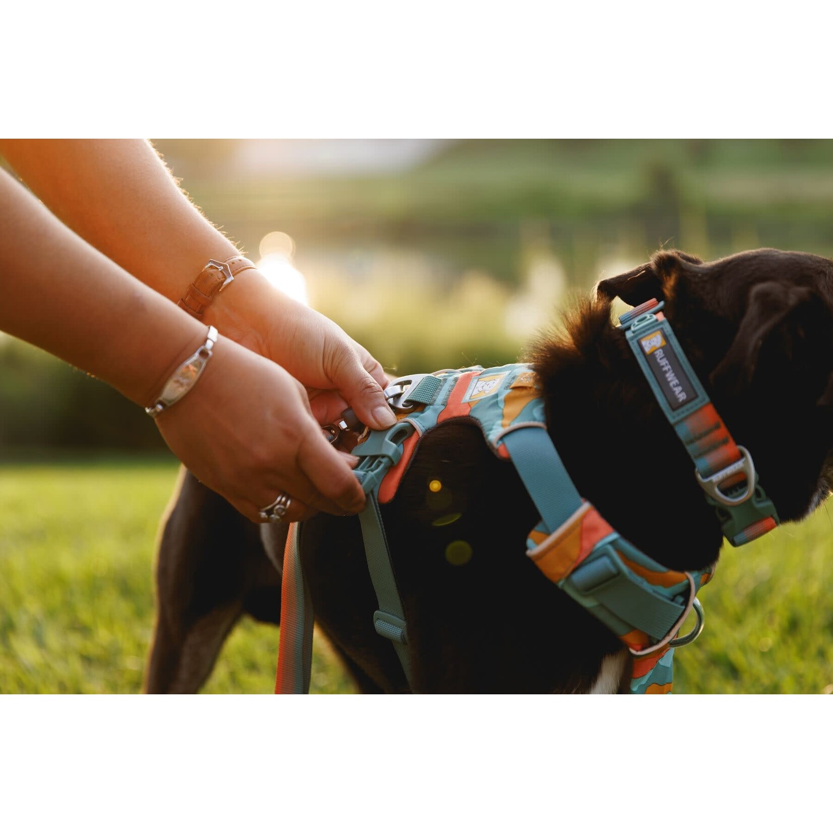 Ruffwear Front Range Dog Harness, Spring Mountains