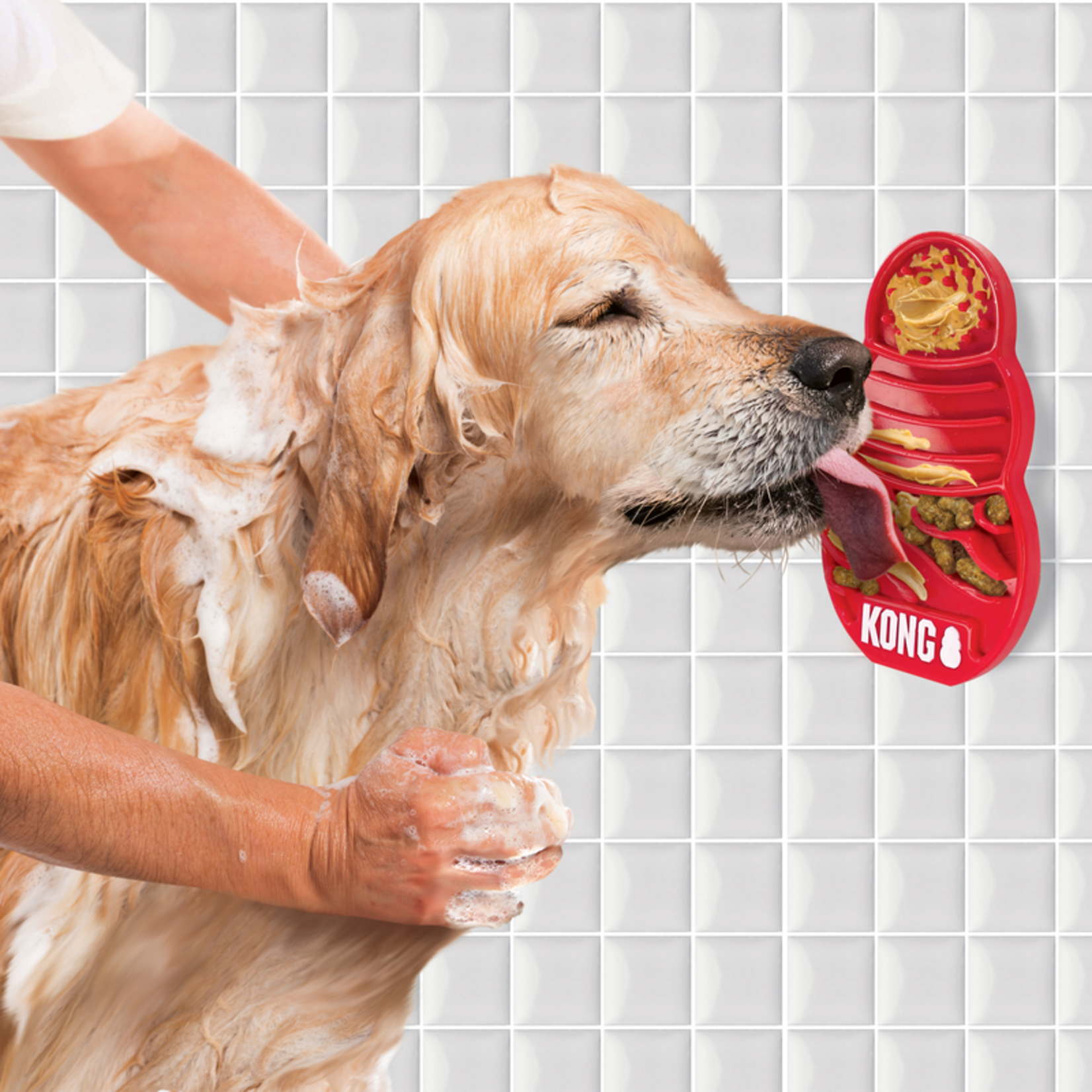 KONG Licks Dog Treat Dispenser