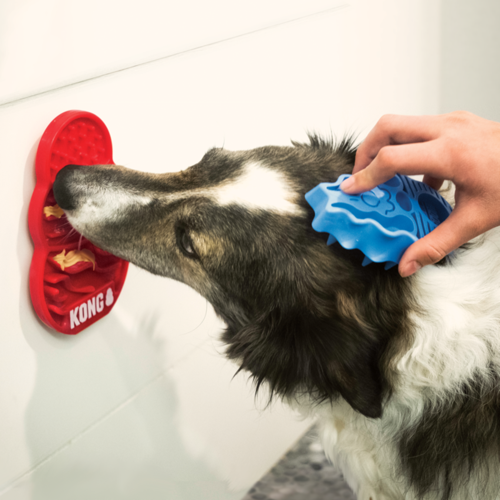 KONG Licks Dog Treat Dispenser