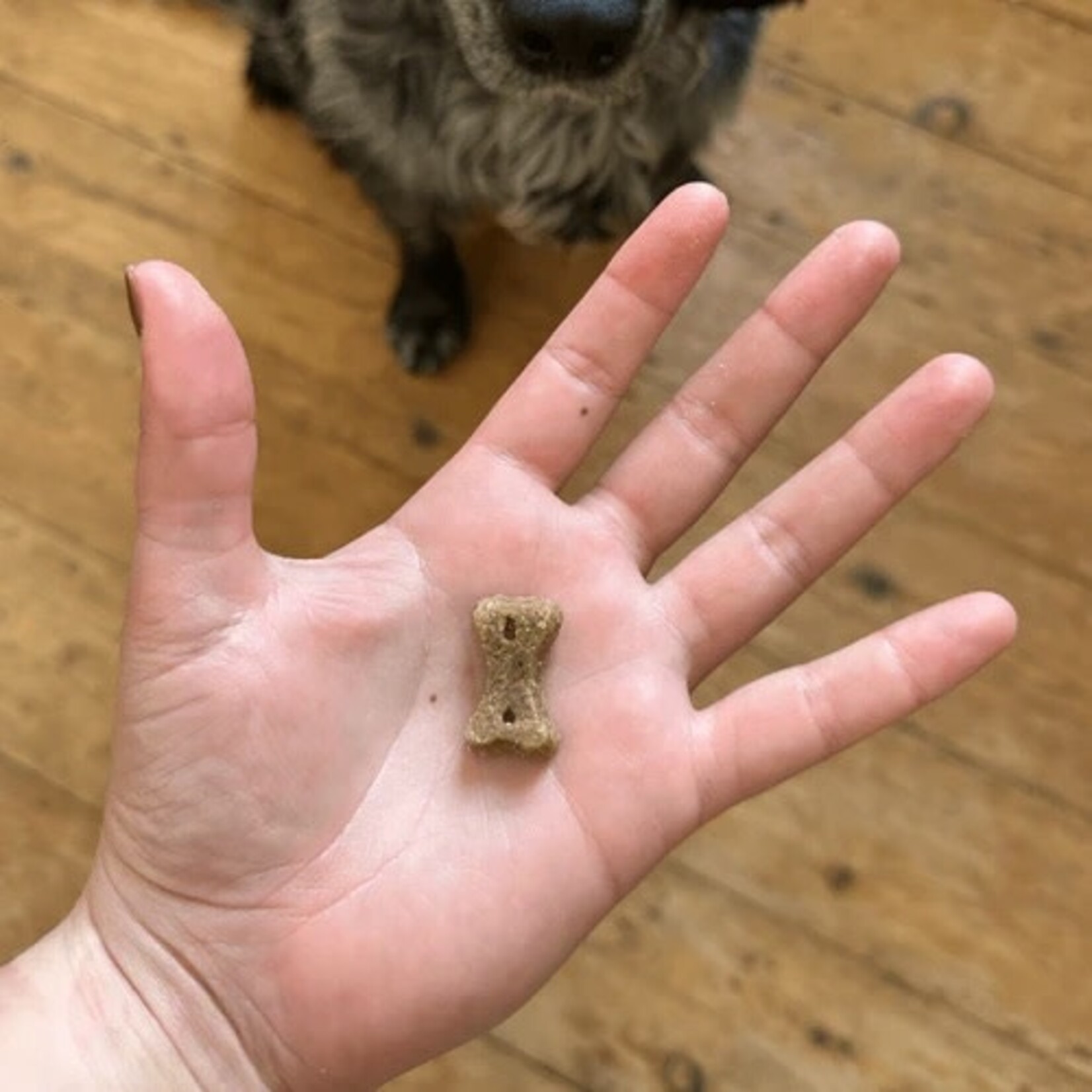 Beco Beco Insect Treats 70g