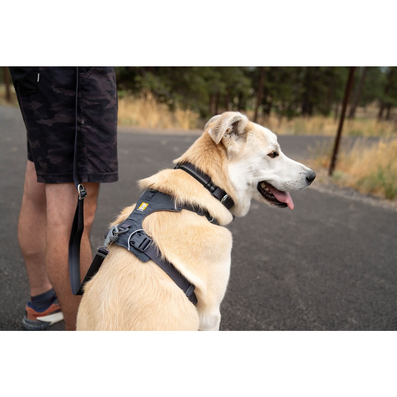 Ruffwear Front Range Dog Harness, Basalt Grey