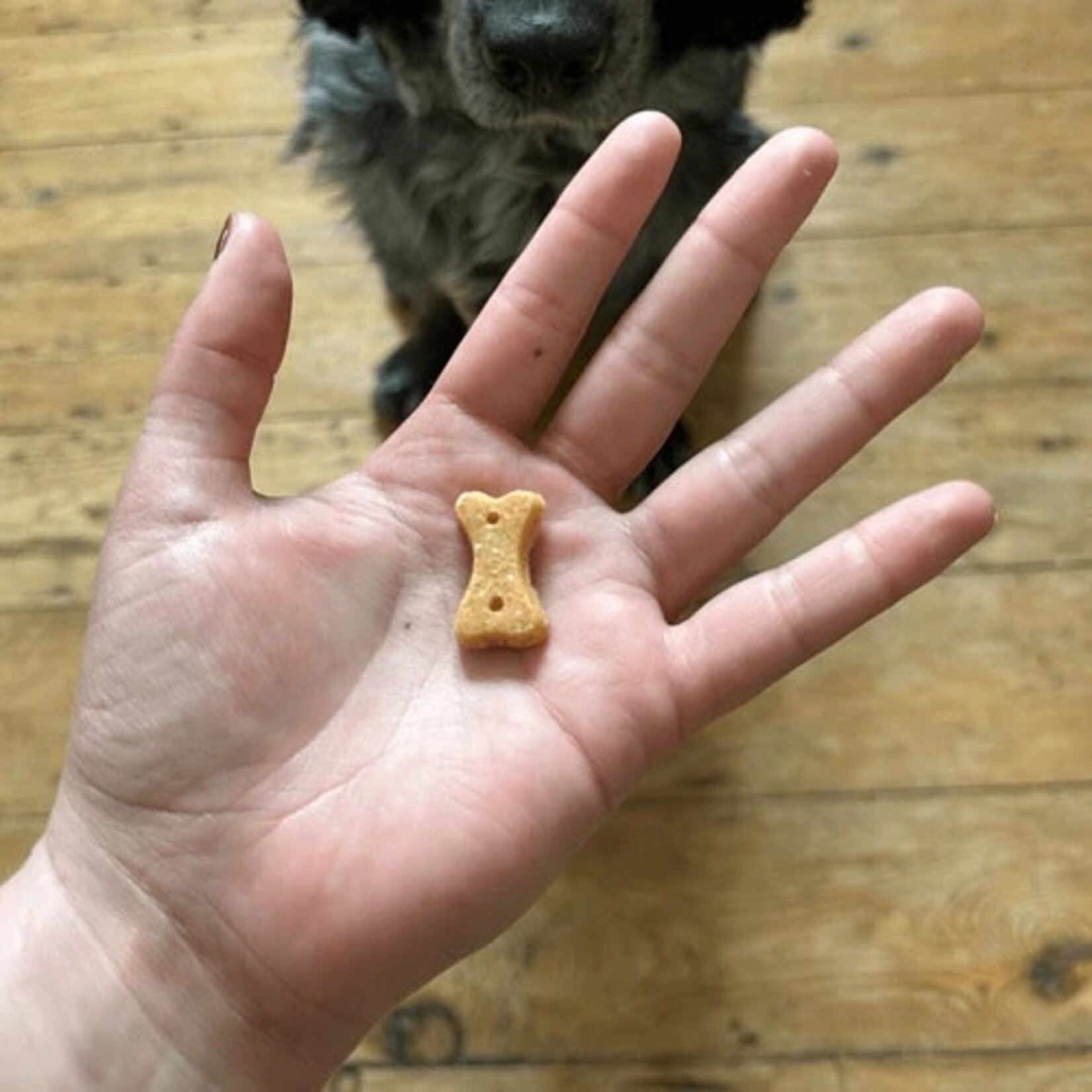 Beco Cashew Dog Treats, 70g