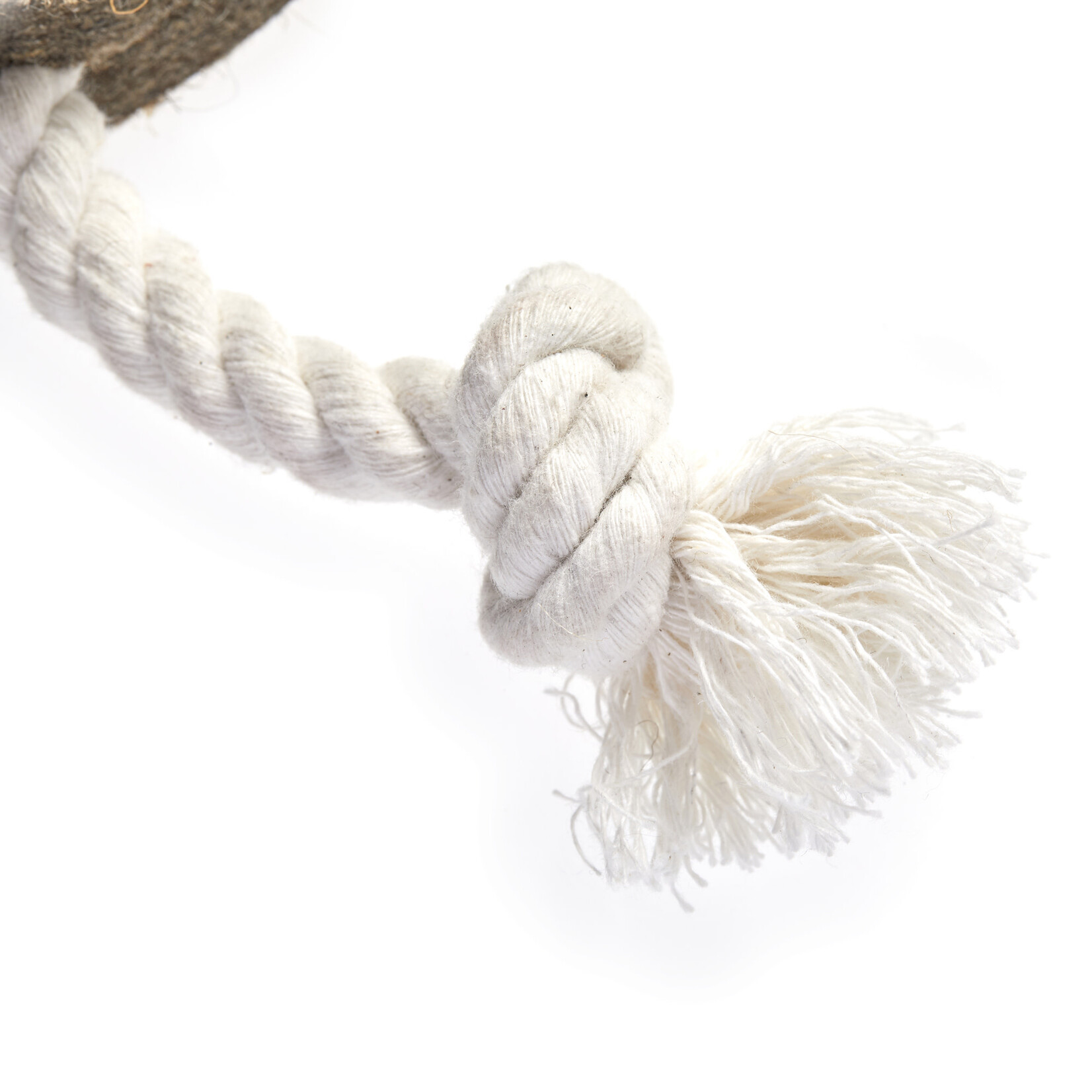 Green and Wild's Spud Nik Eco Dog Toy
