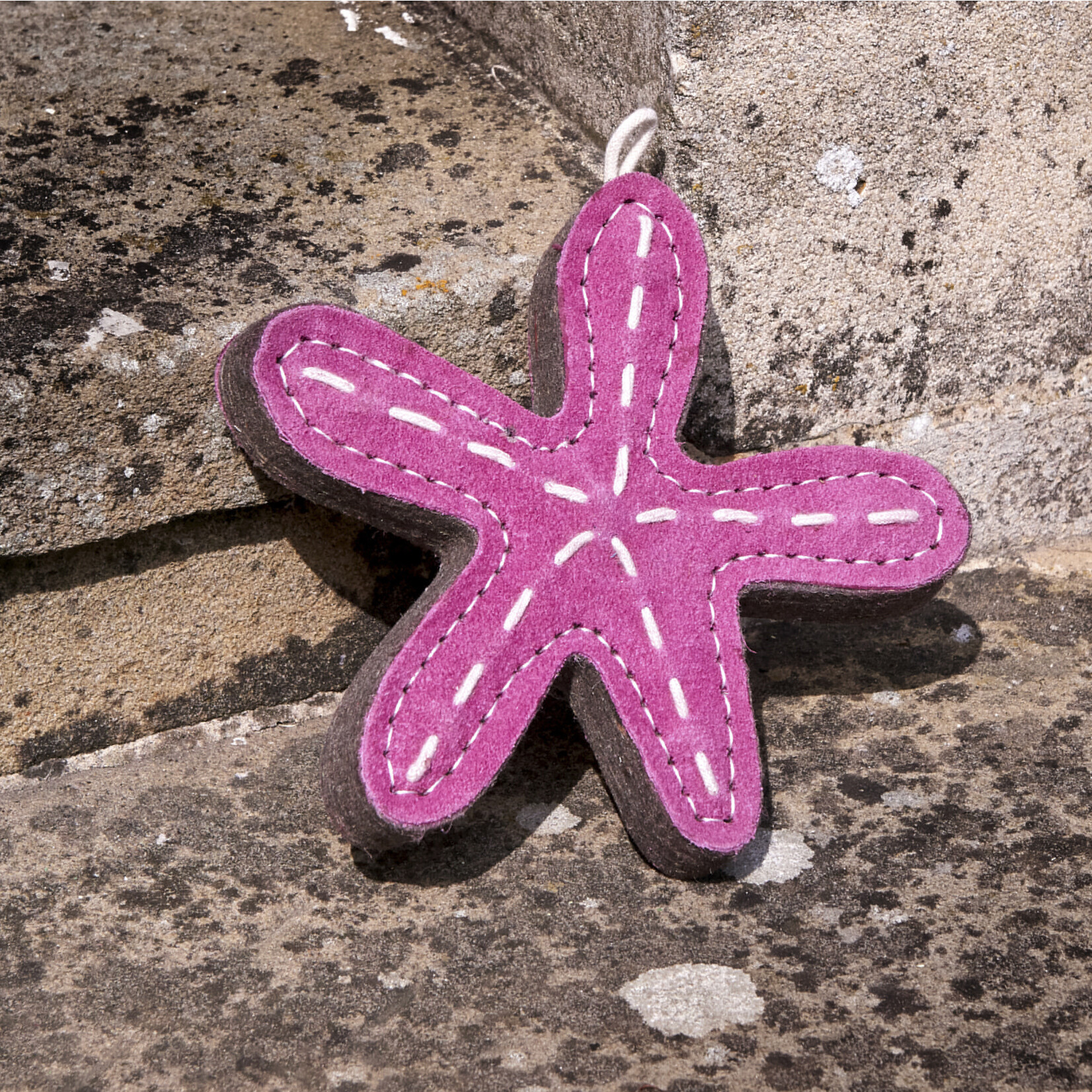 Green and Wild's Stanley the Starfish Eco Dog Toy