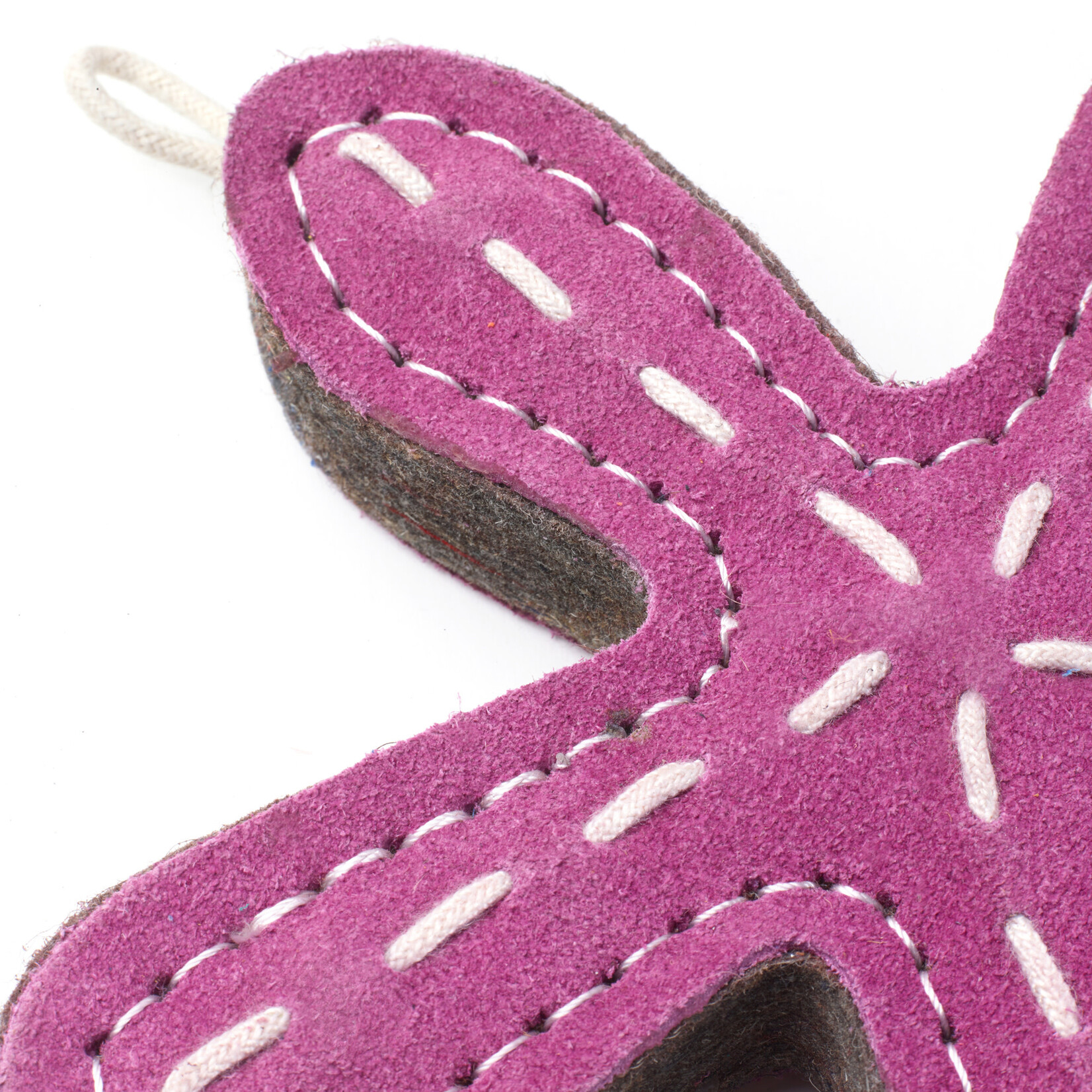 Green and Wild's Stanley the Starfish Eco Dog Toy