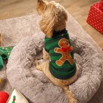 Zöon Gingerbread Dog Christmas Jumper