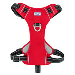 Ancol Viva Exercise & Travel Dog Harness, Red