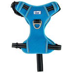 Ancol Viva Exercise & Travel Dog Harness, Blue