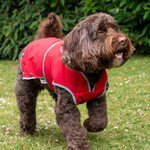 Ancol Stormguard Soft Shell Dog Coat, Bordeaux Red