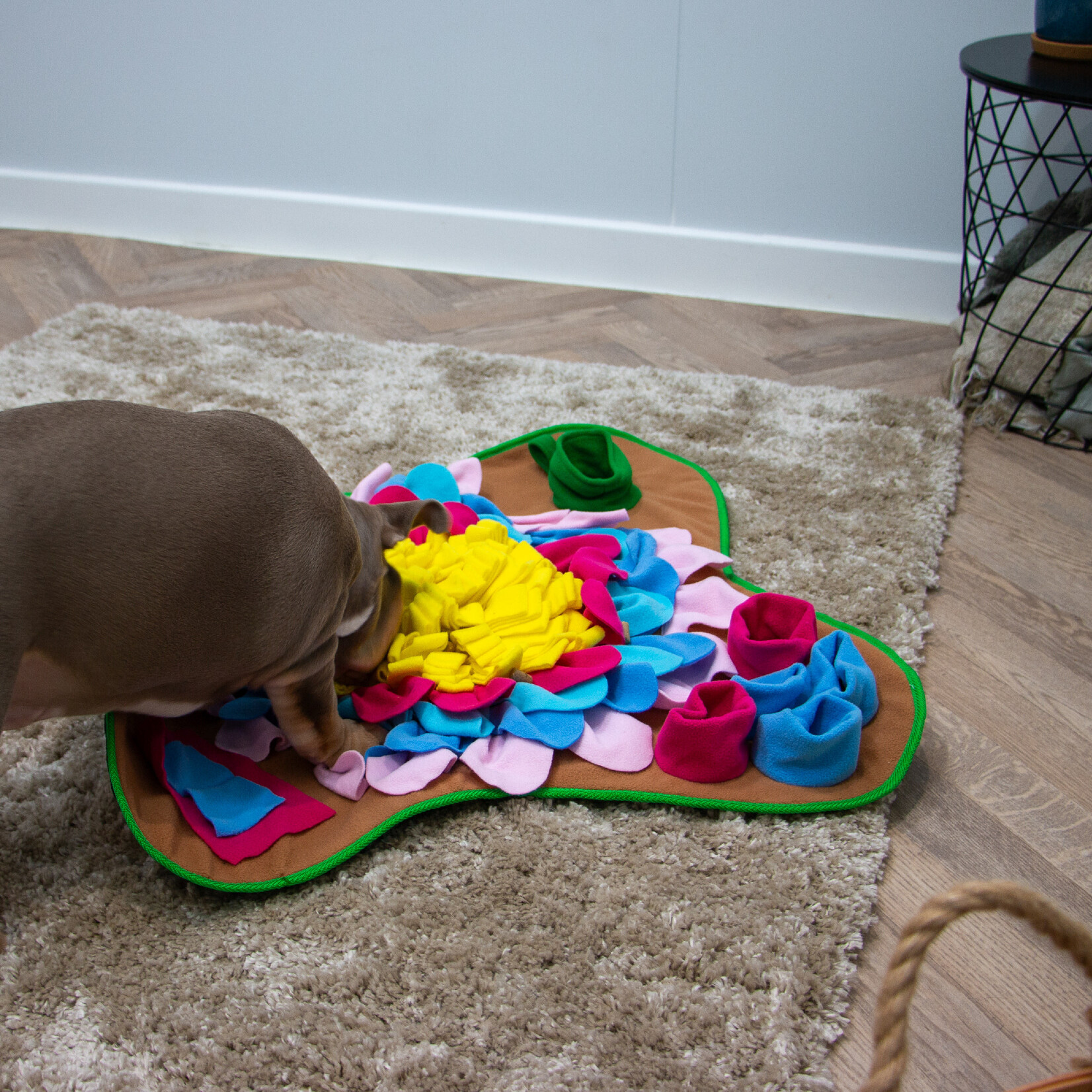 Ancol Orva Square Dog Snuffle Mat