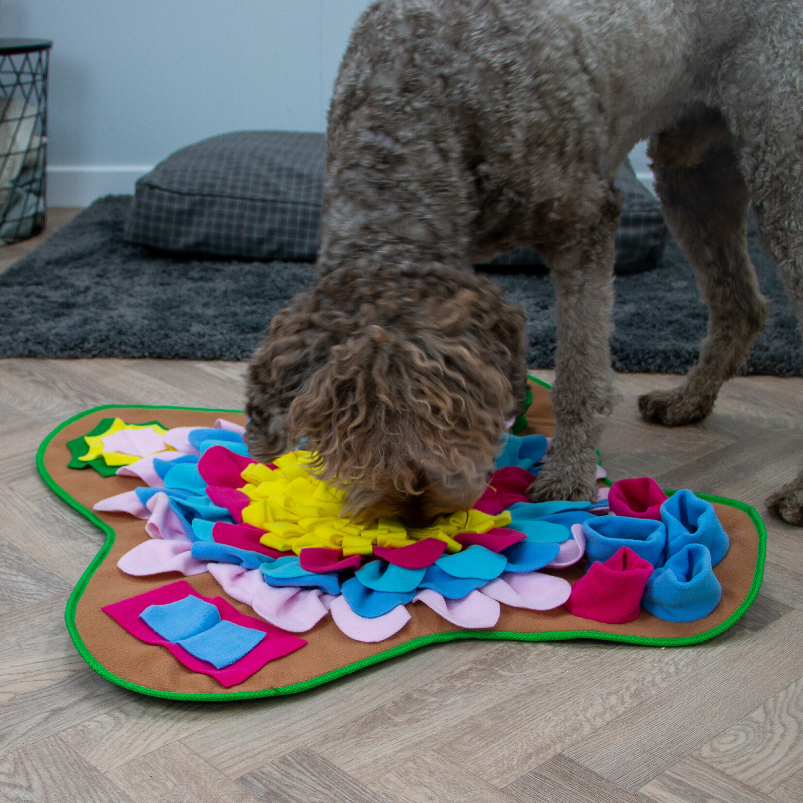 Ancol Orva Square Dog Snuffle Mat