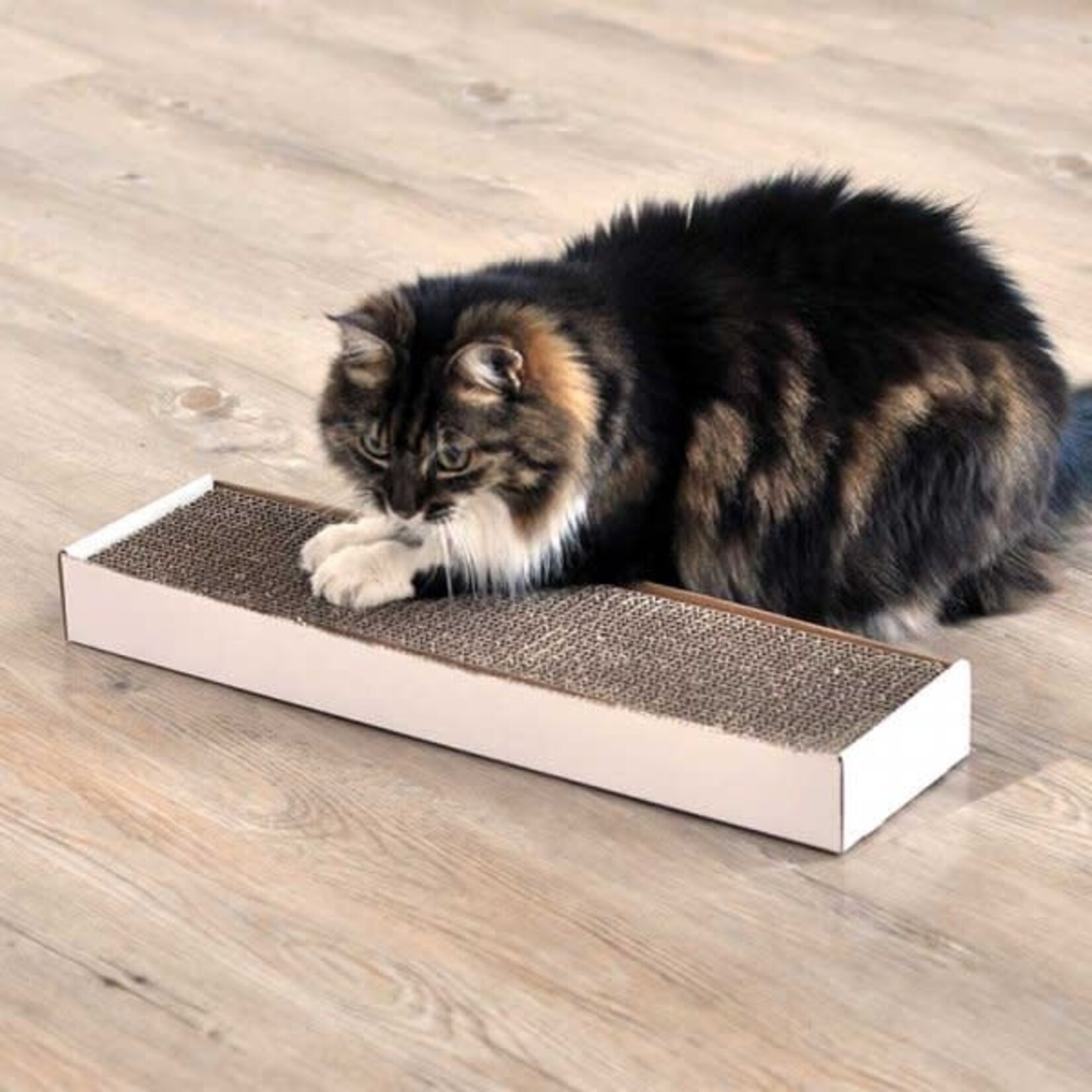 Zöon Nip-it Catnip Cat Scratch Pad
