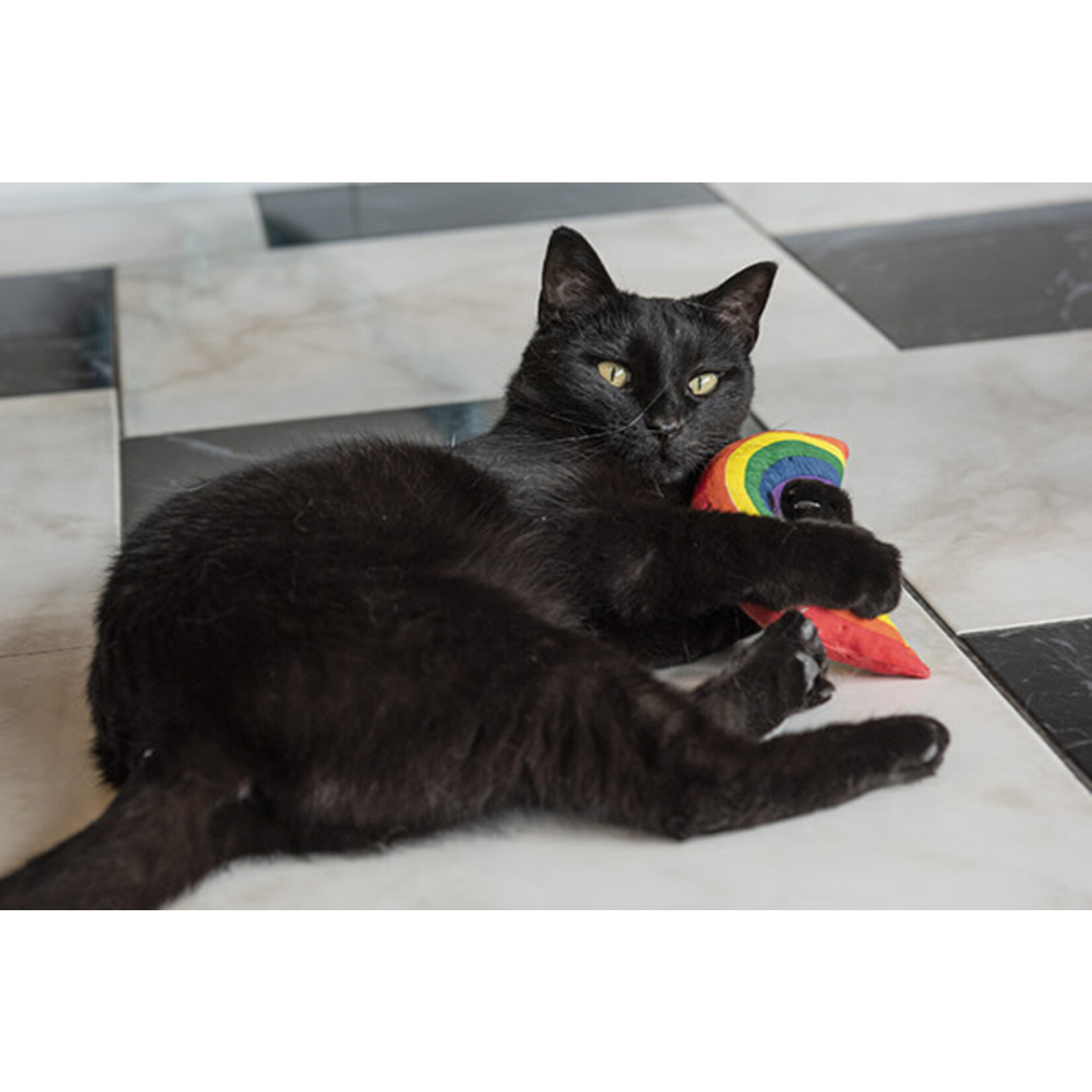 Yeowww Catnip Rainbow Cat Toy 15 cm Pet Care By Post