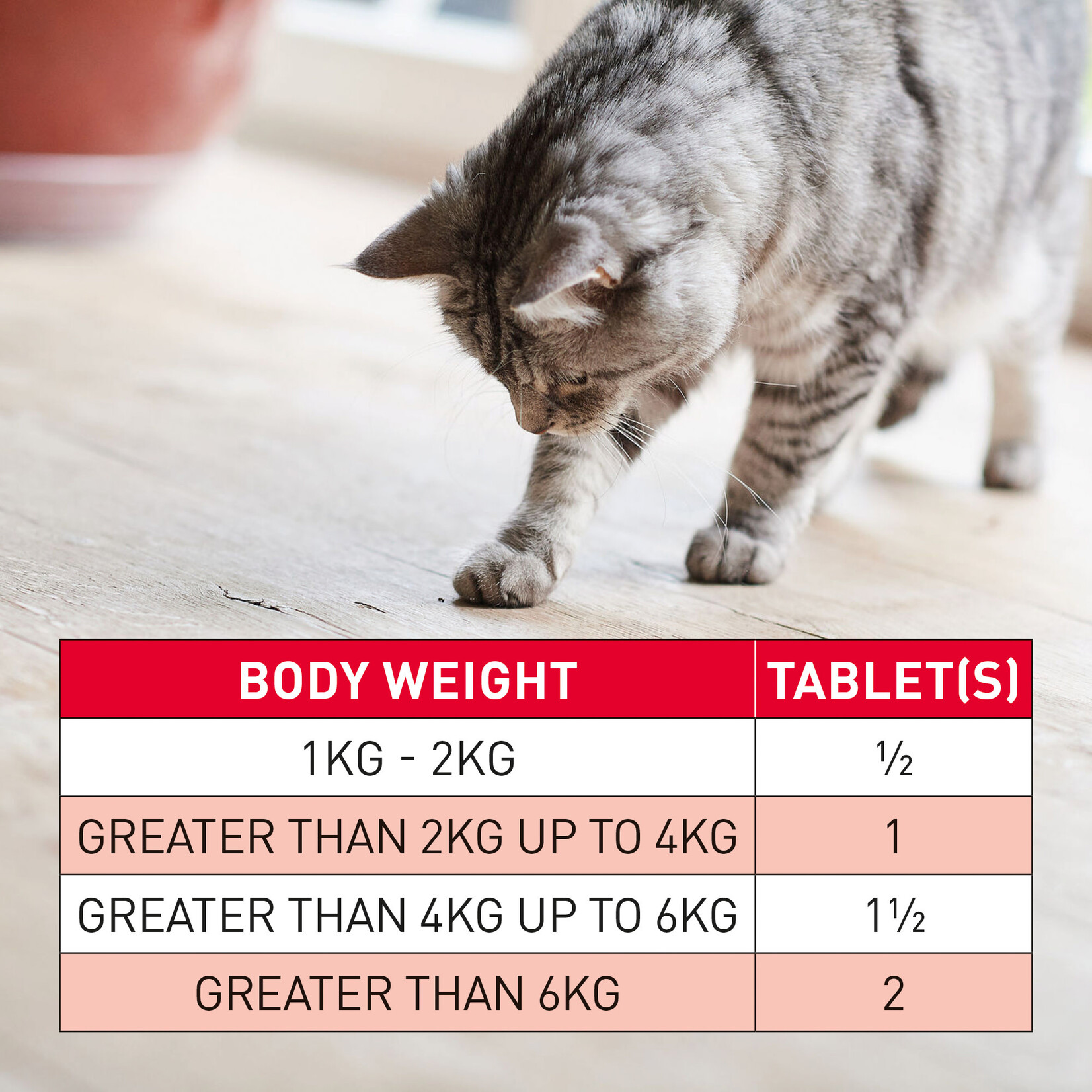 Beaphar WORMclear Cat One Dose Wormer for Cats & Kittens