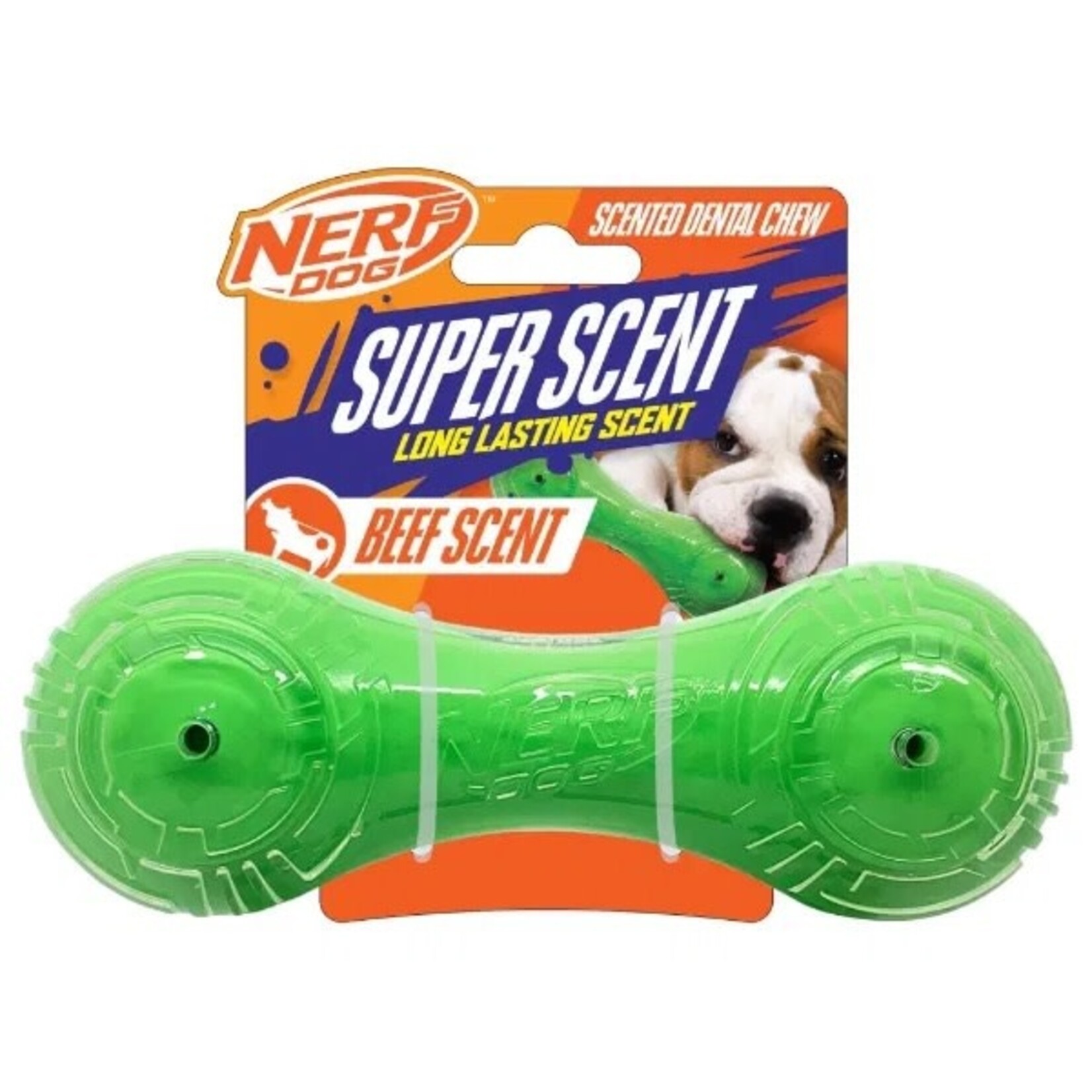 Nerf TPR/PP Scented Beef Super Scent Barbell Solid Core Dog Toy, 18cm