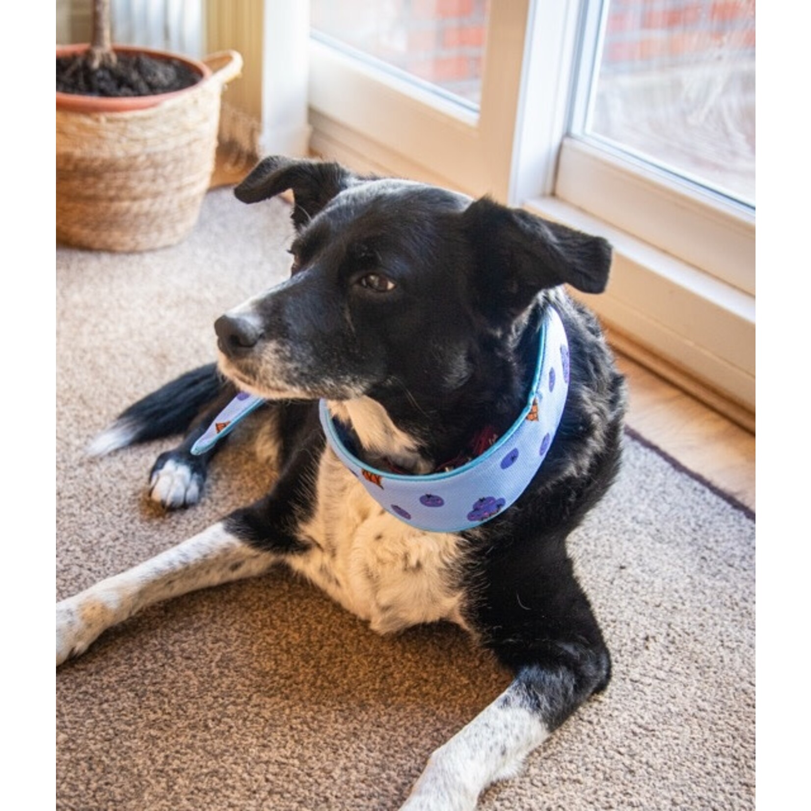 Rosewood Cooling Dog Neckerchief