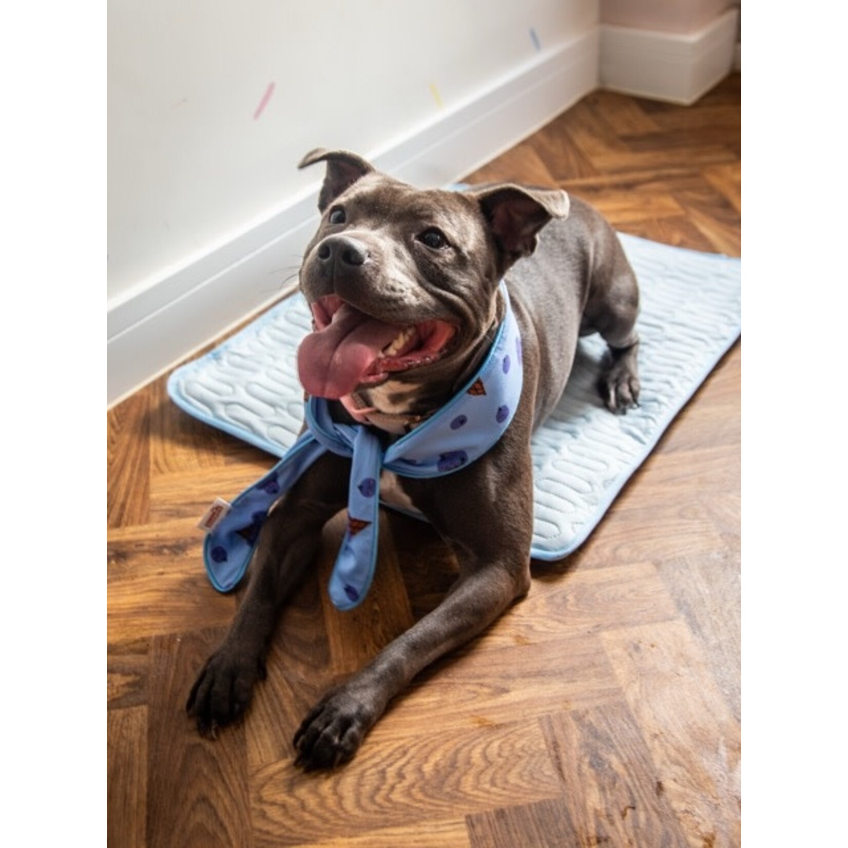 Rosewood Cooling Dog Neckerchief