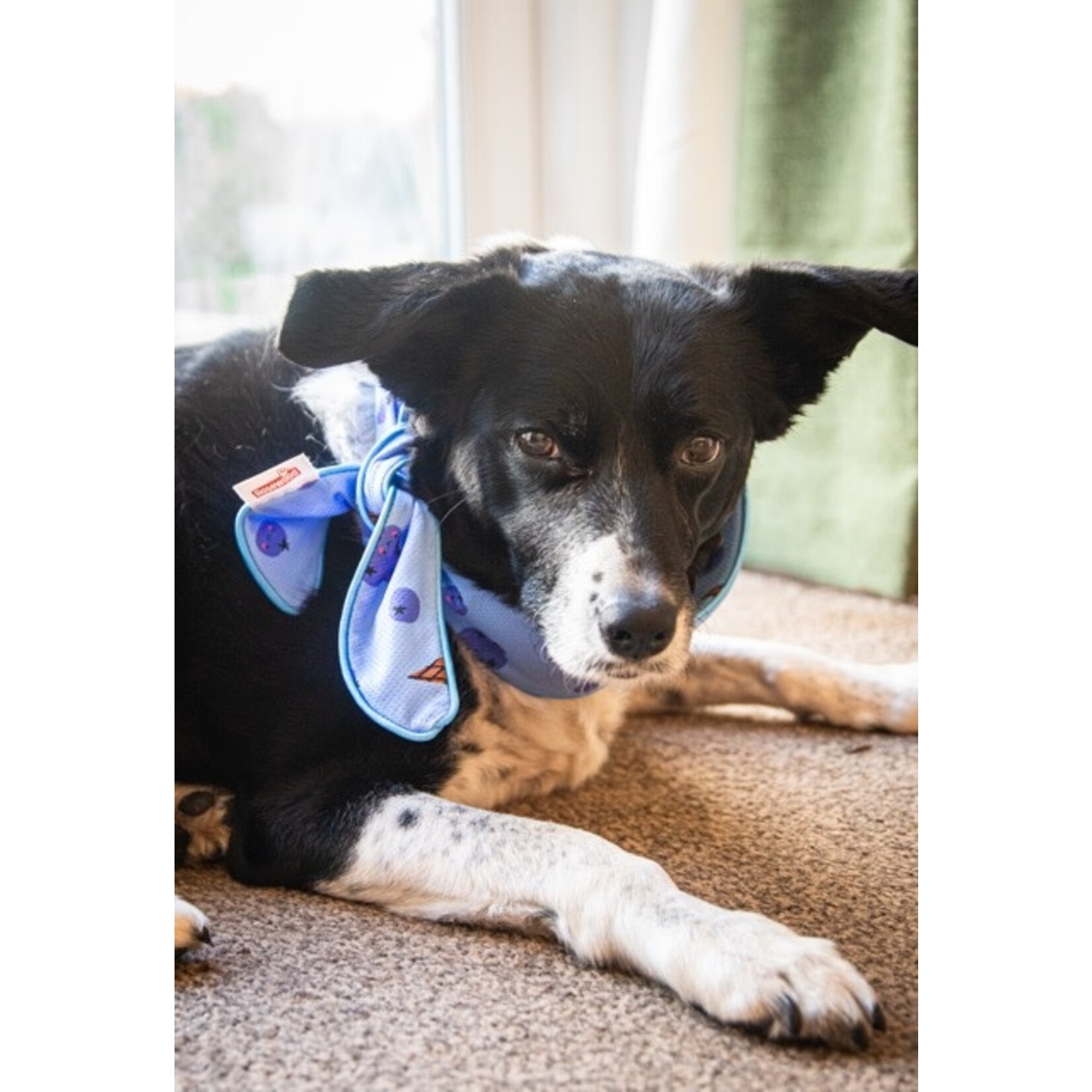 Rosewood Cooling Dog Neckerchief