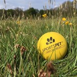 Sportspet High Bounce Ball Dog Toy, Medium