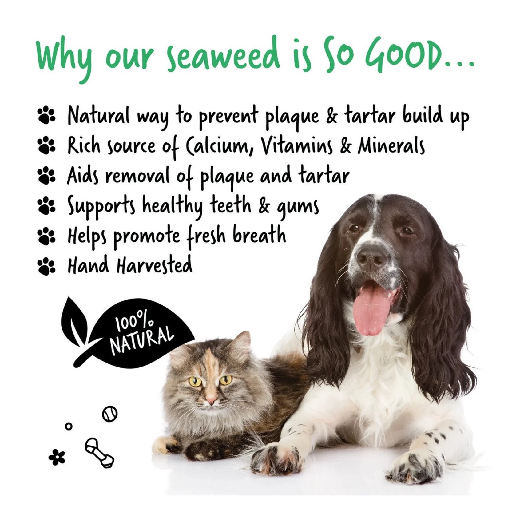 Bugalugs Hand-harvested Irish Seaweed Plaque Remover for Dogs & Cats, 70g