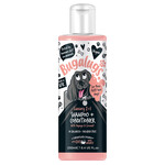 Bugalugs Luxury 2 in 1 Dog Shampoo & Conditioner with Papaya & Coconut, 250ml