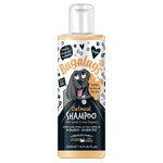 Bugalugs Oatmeal Dog Shampoo with Coconut & Lime Fragrance, 250ml