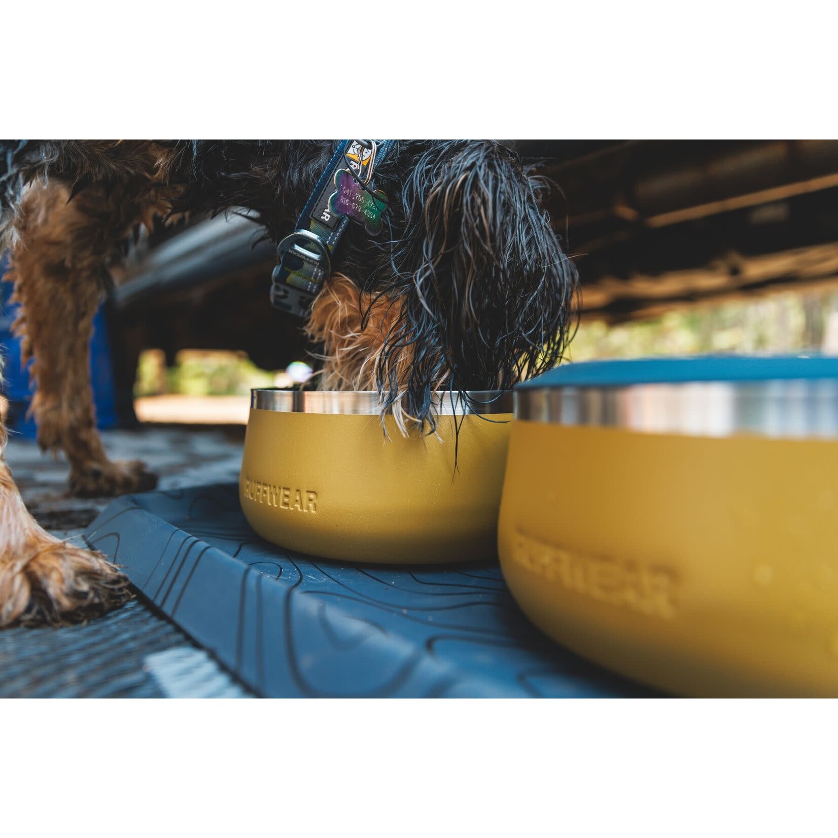 Ruffwear Basecamp Stainless Durable Dog Bowl, Cattail Tan