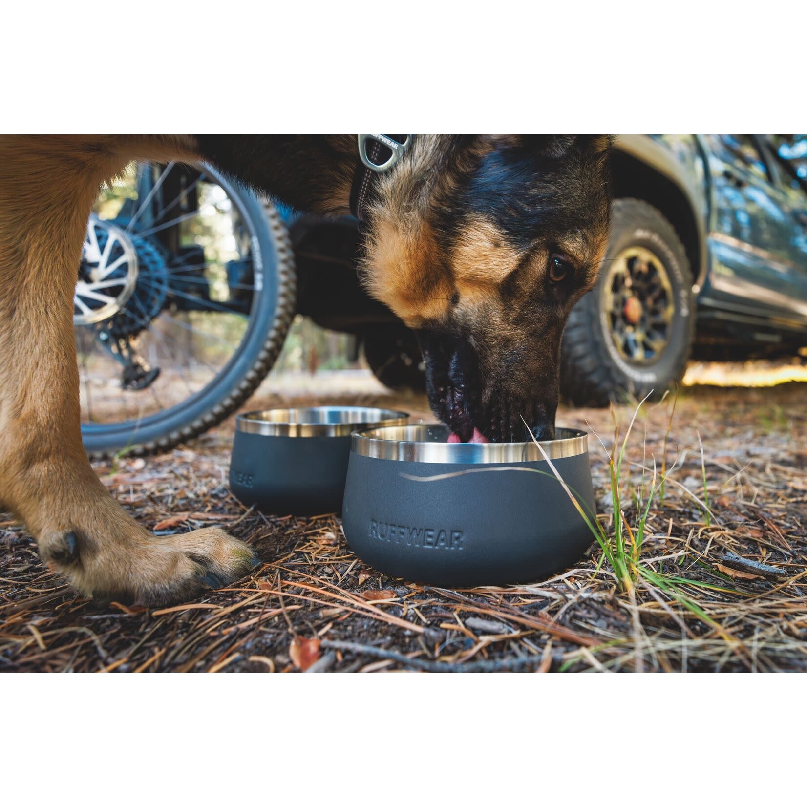 Ruffwear Basecamp Stainless Durable Dog Bowl, River Rock Green