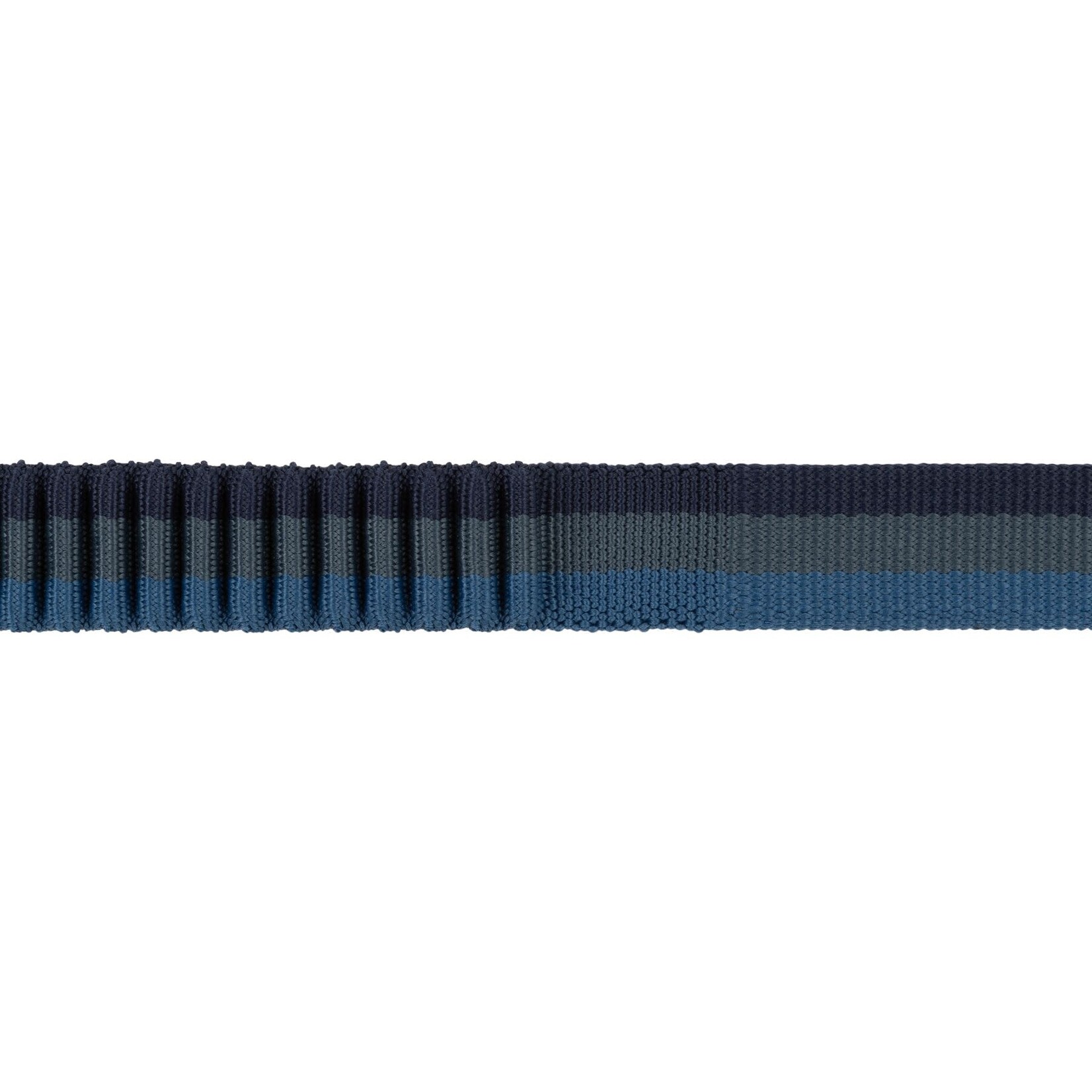 Ruffwear Roamer Bungee Hands-Free Dog Lead, Orion Blue