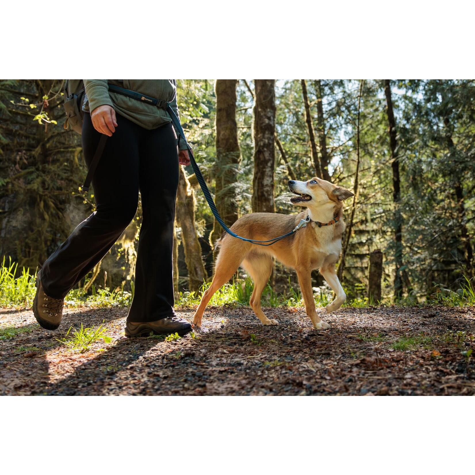 Ruffwear Roamer Bungee Hands-Free Dog Lead, Orion Blue