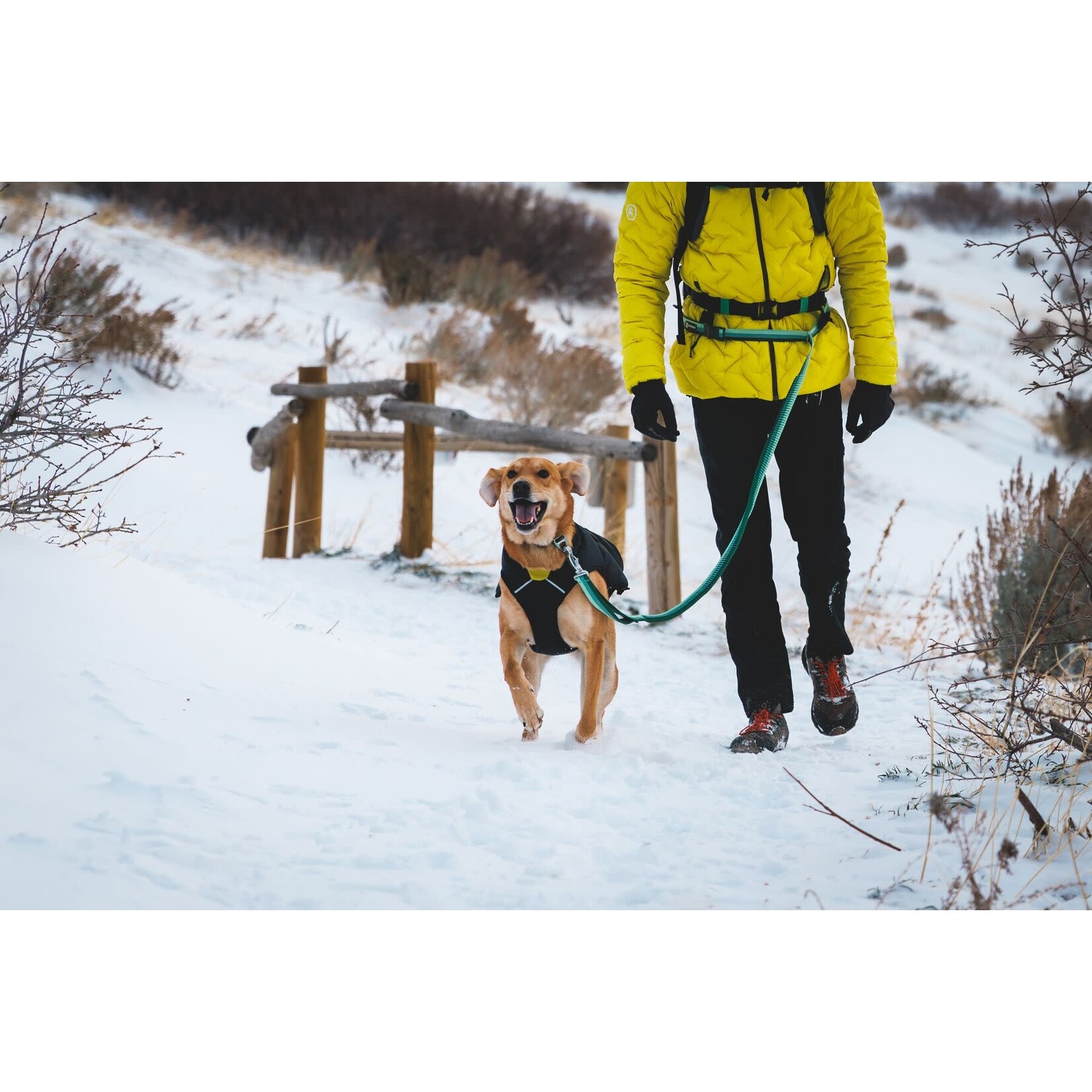 Ruffwear Roamer Bungee Hands-Free Dog Lead, River Rock Green