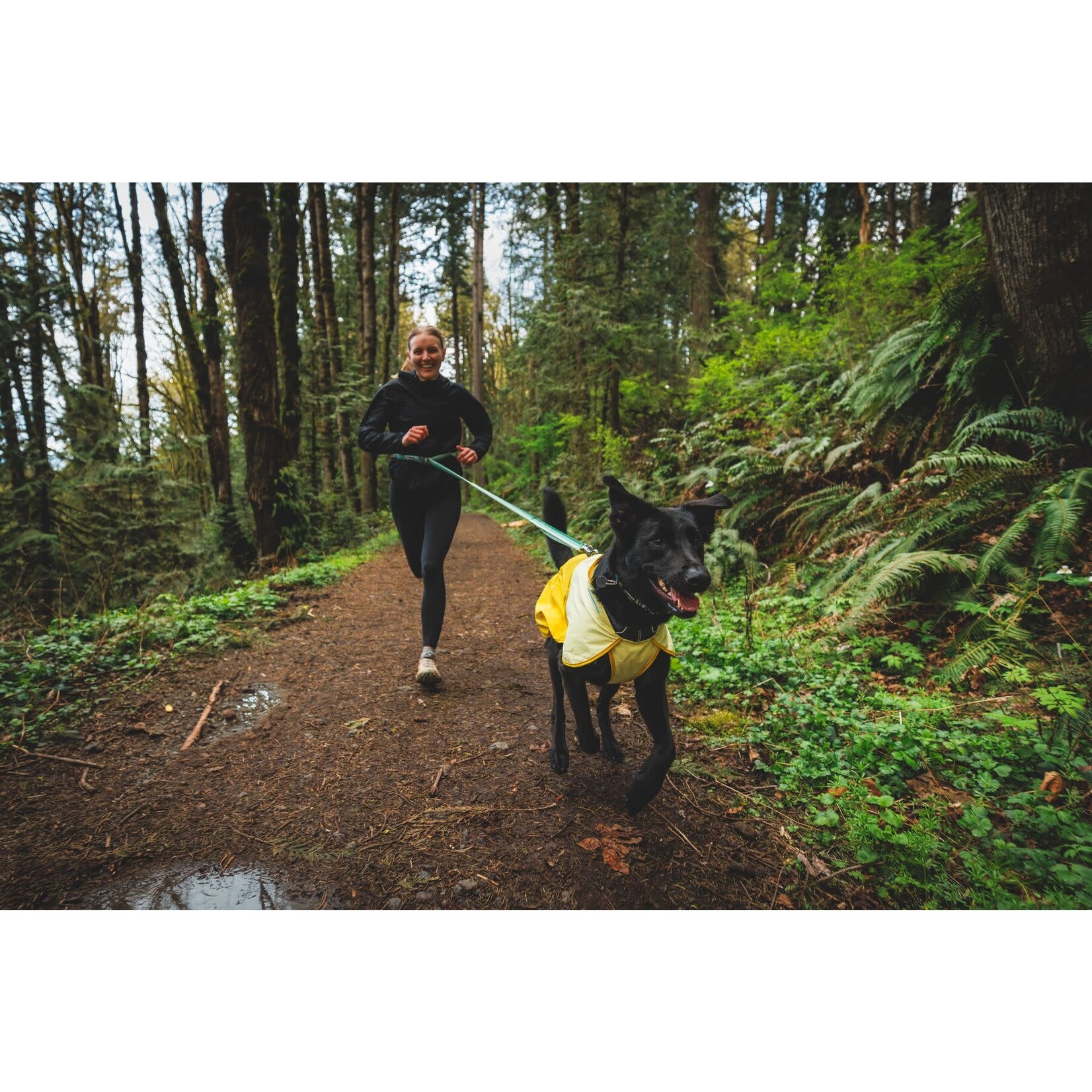 Ruffwear Roamer Bungee Hands-Free Dog Lead, River Rock Green