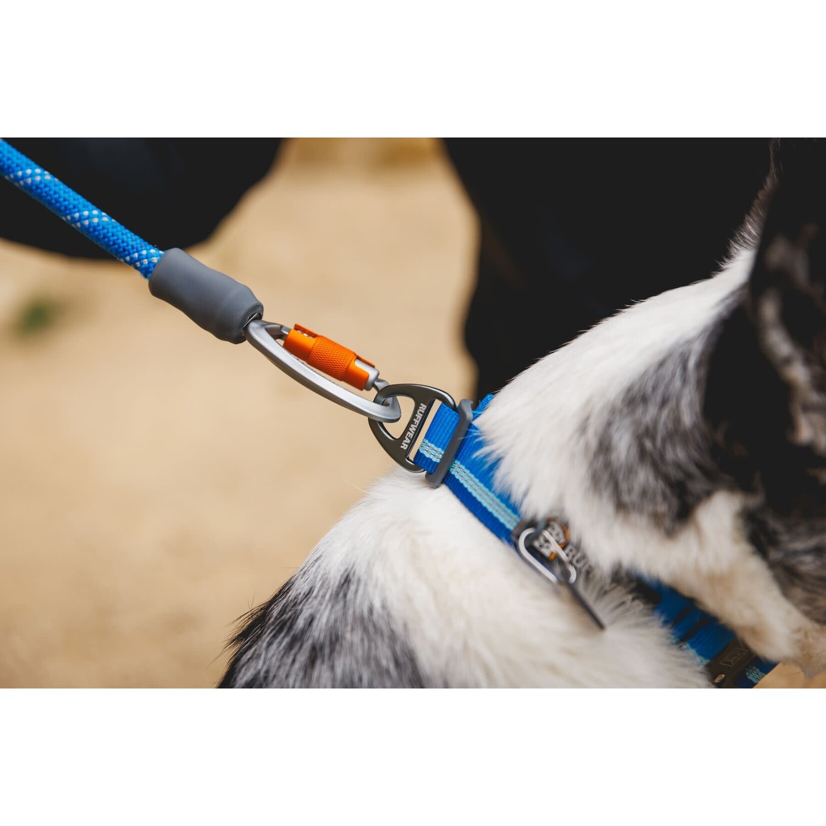 Ruffwear Knot-a-Leash Rope Dog Lead with Carabiner, Blue Pool