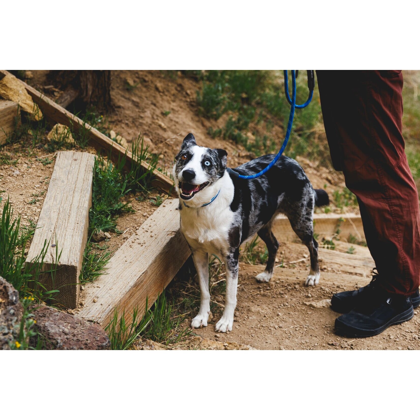Ruffwear Knot-a-Leash Rope Dog Lead with Carabiner, Blue Pool