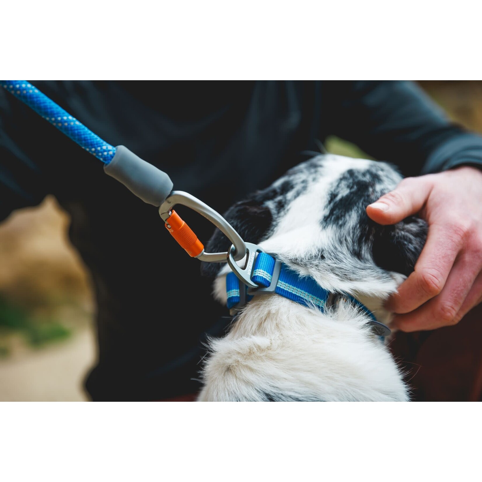 Ruffwear Knot-a-Leash Rope Dog Lead with Carabiner, Blue Pool