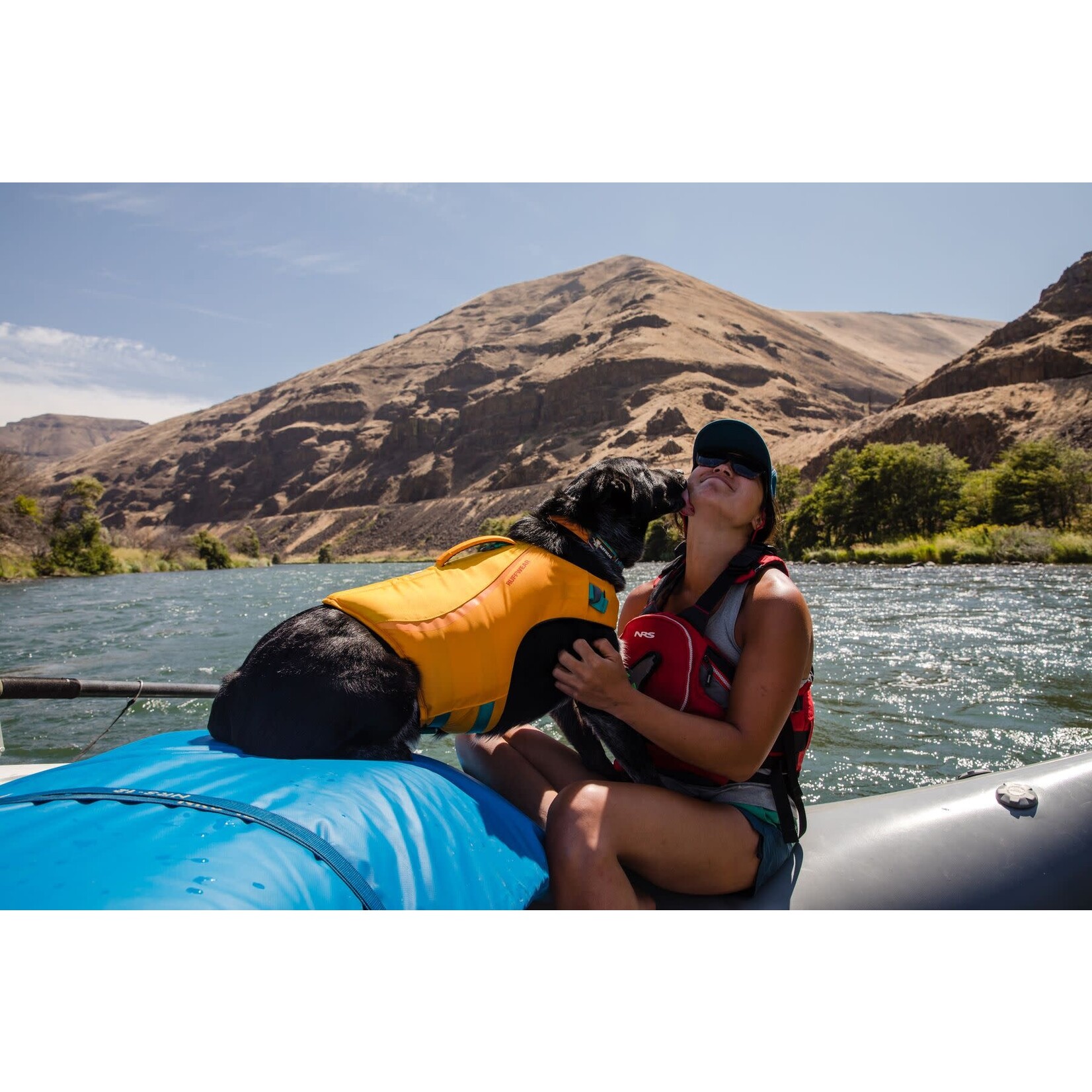 Ruffwear Float Coat Dog Life Jacket, Wave Orange