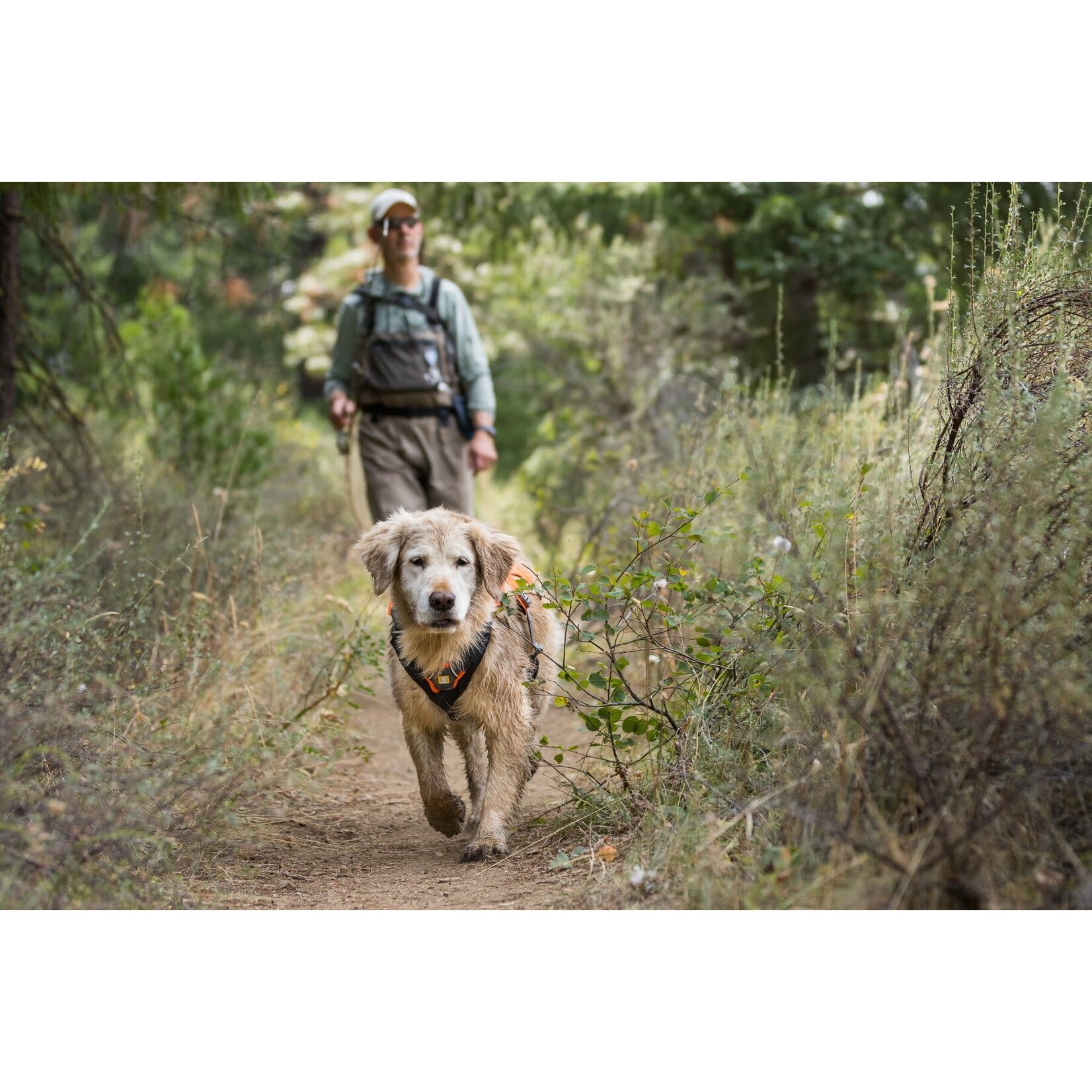 Ruffwear Web Master Dog Harness with Handle, Basalt Gray