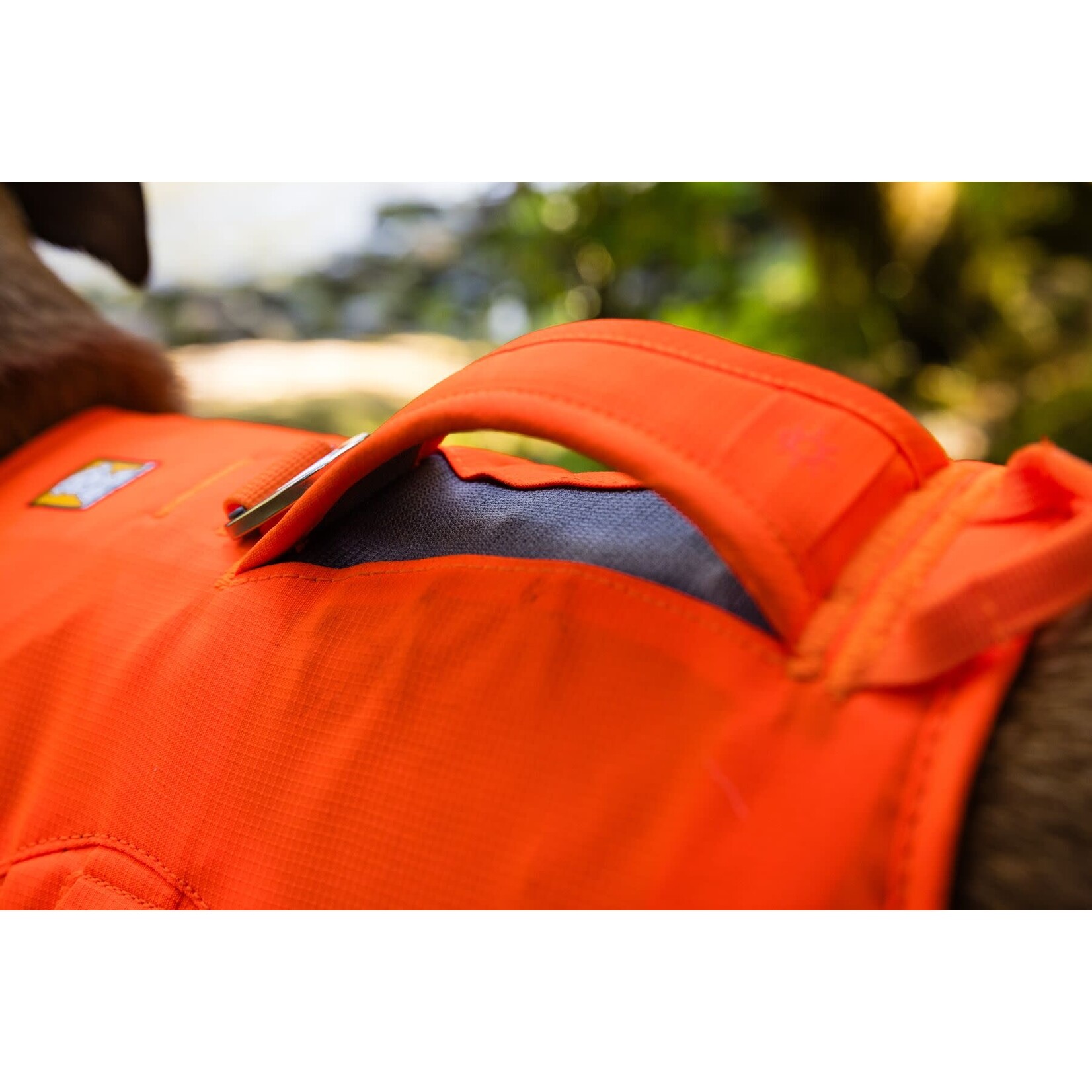 Ruffwear Web Master Dog Harness with Handle, Blaze Orange