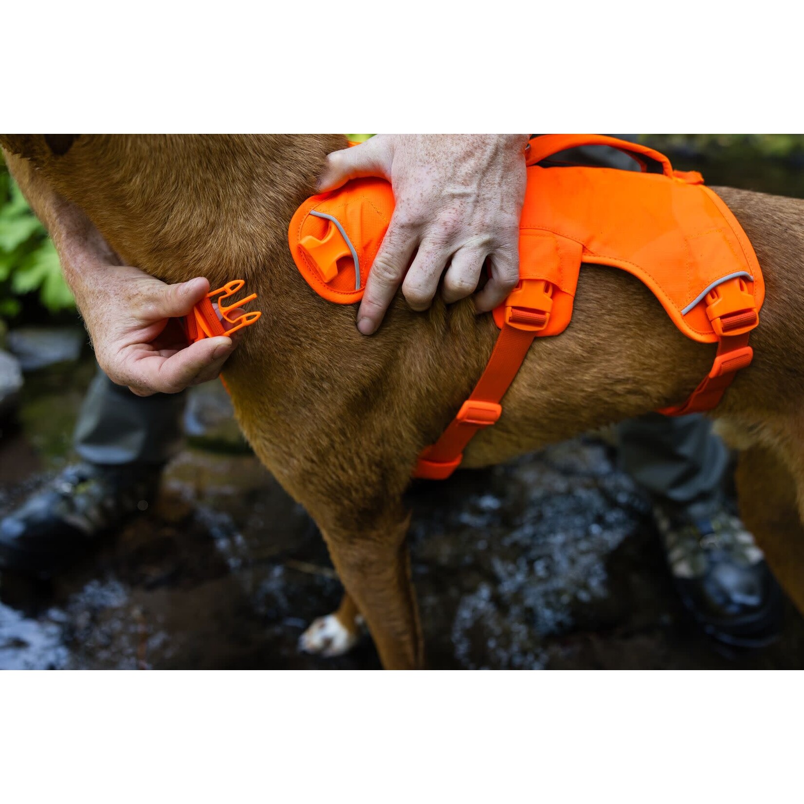 Ruffwear Web Master Dog Harness with Handle, Blaze Orange