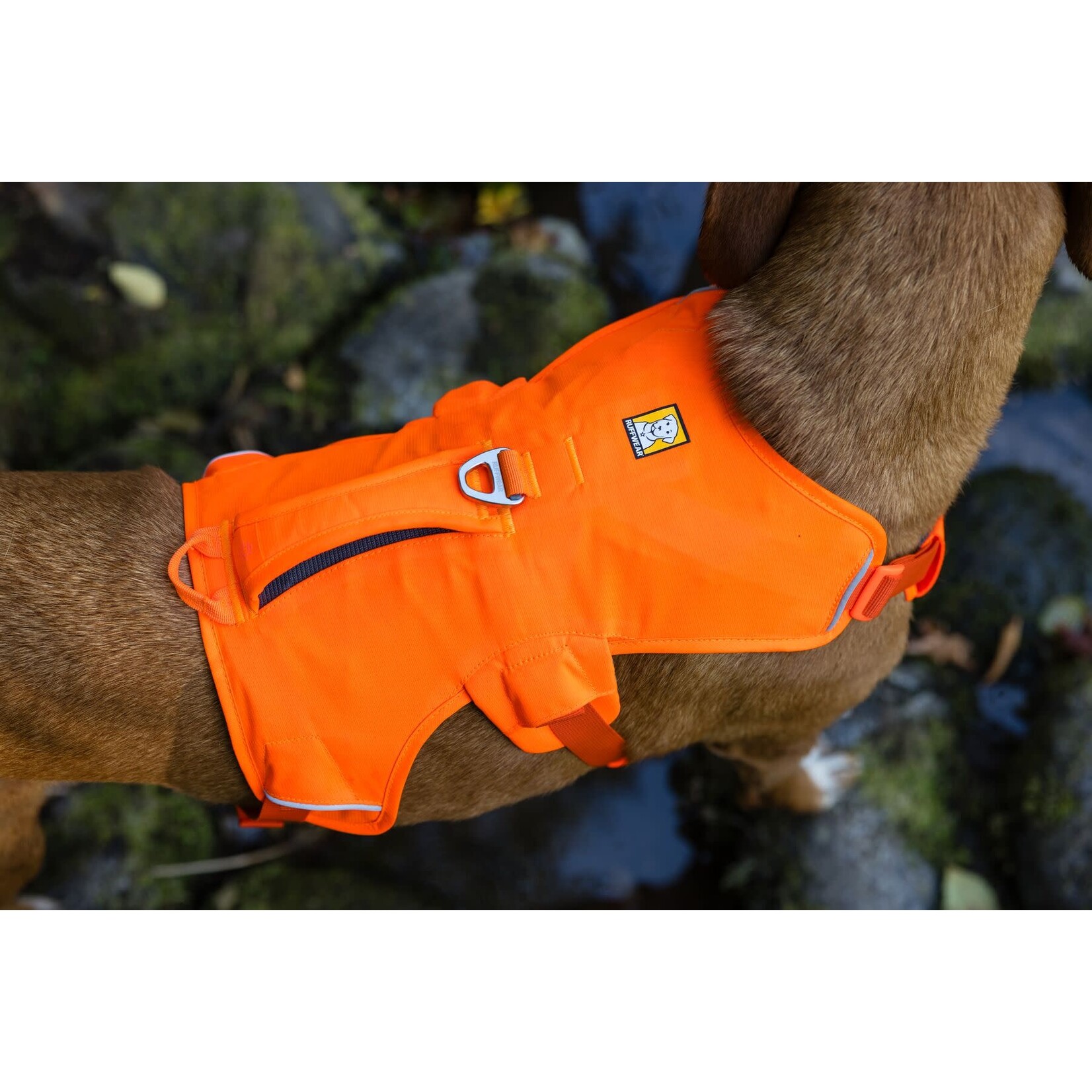 Ruffwear Web Master Dog Harness with Handle, Blaze Orange