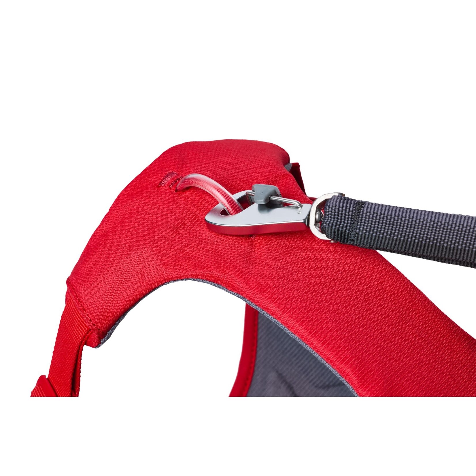 Ruffwear Web Master Dog Harness with Handle, Red Canyon