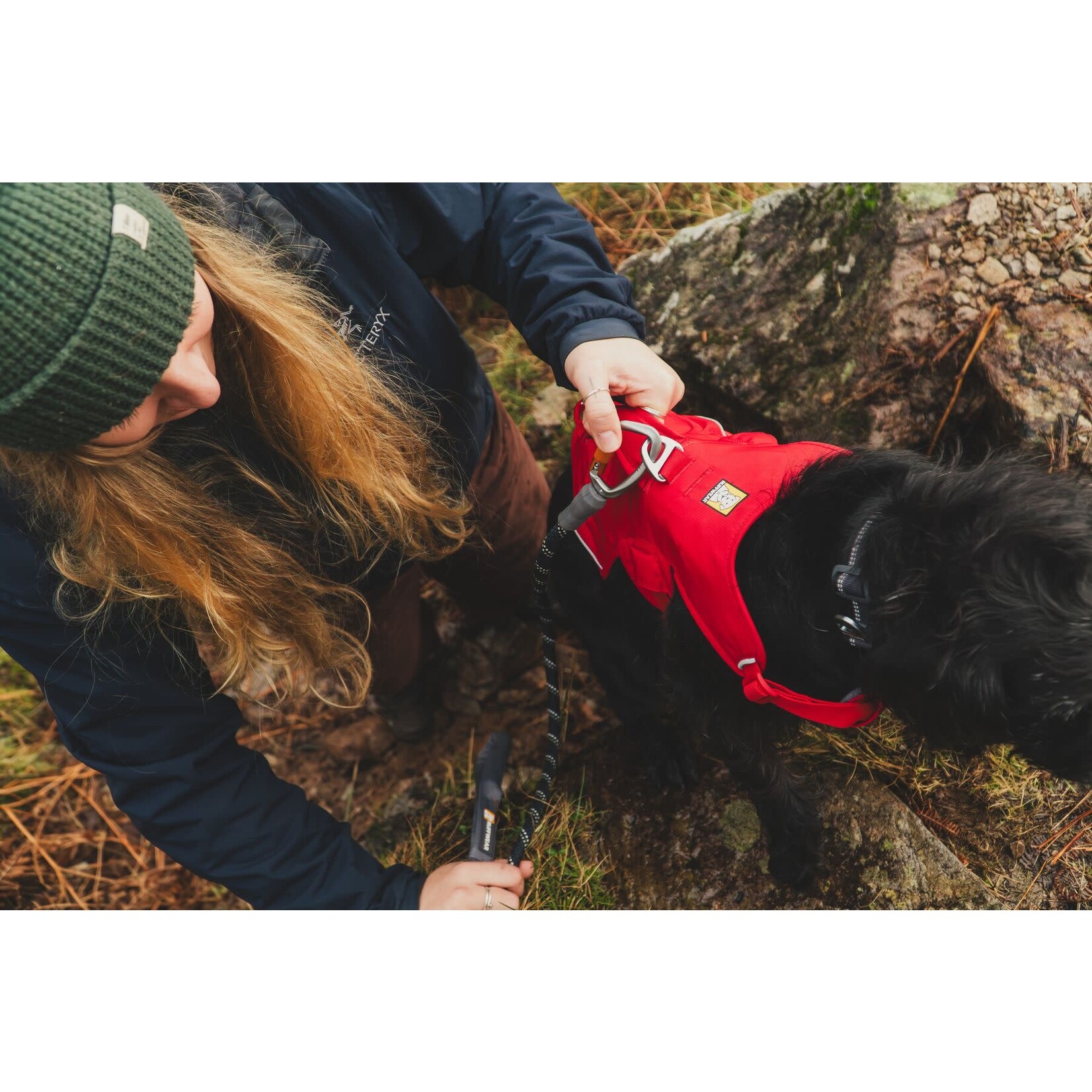 Ruffwear Web Master Dog Harness with Handle, Red Canyon
