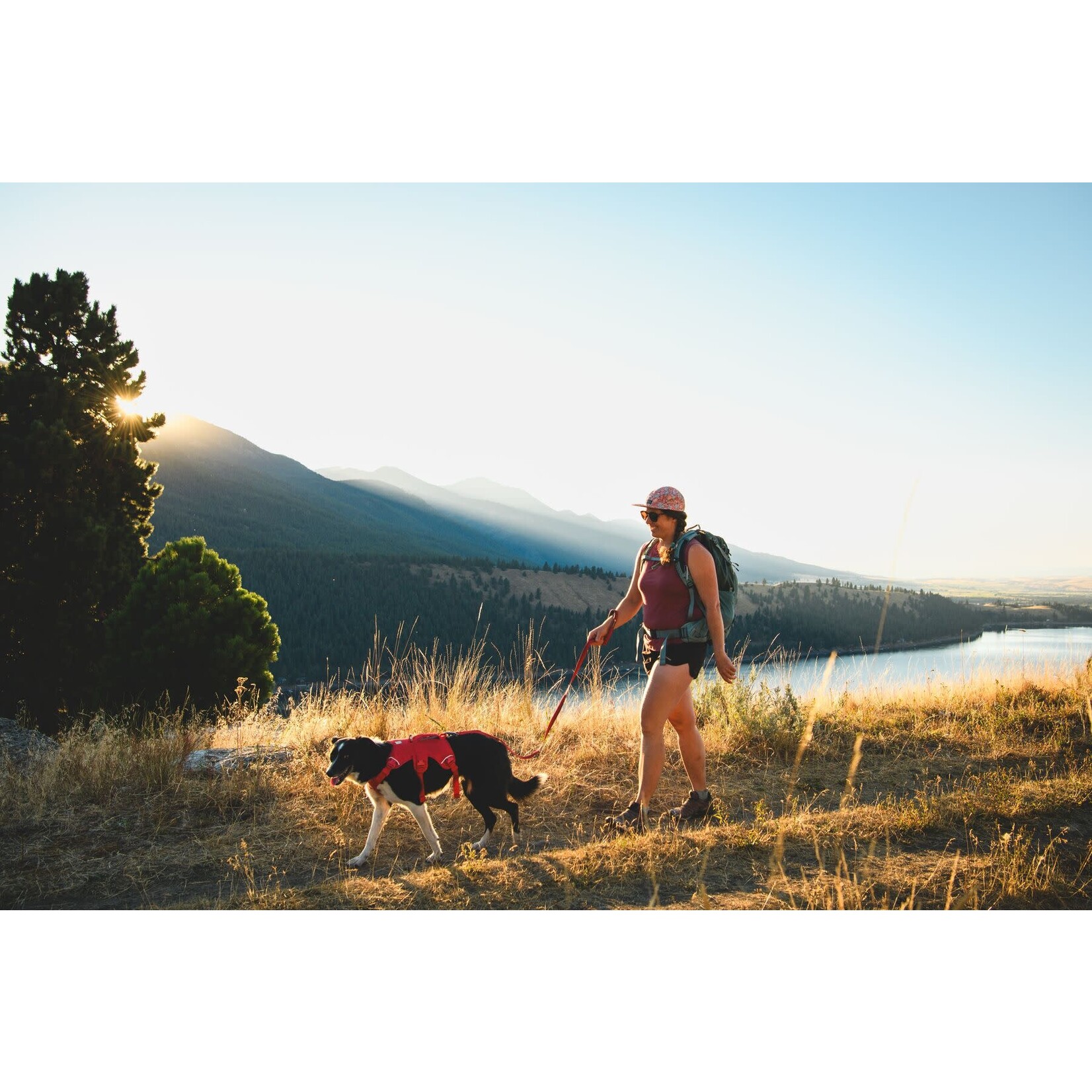 Ruffwear Web Master Dog Harness with Handle, Red Canyon